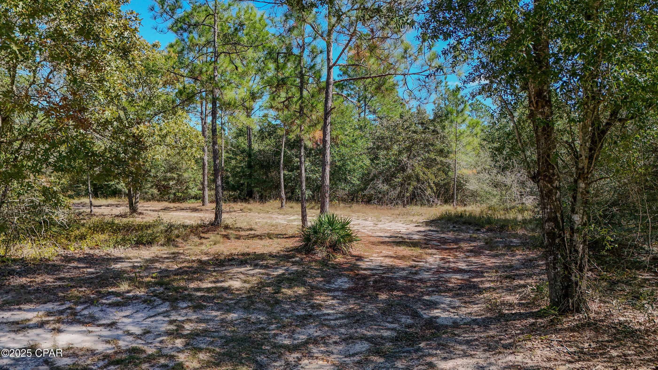 Image 34 For 300 Deer Trail