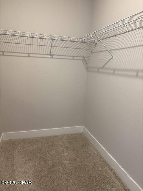 Image 8 For 7076 Traditions Drive Drive