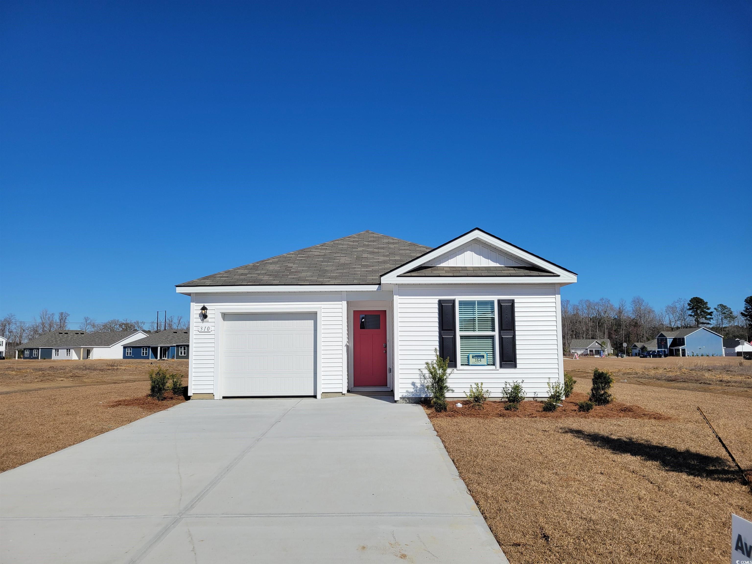 310 Black Gum Dr. Conway, SC 29527