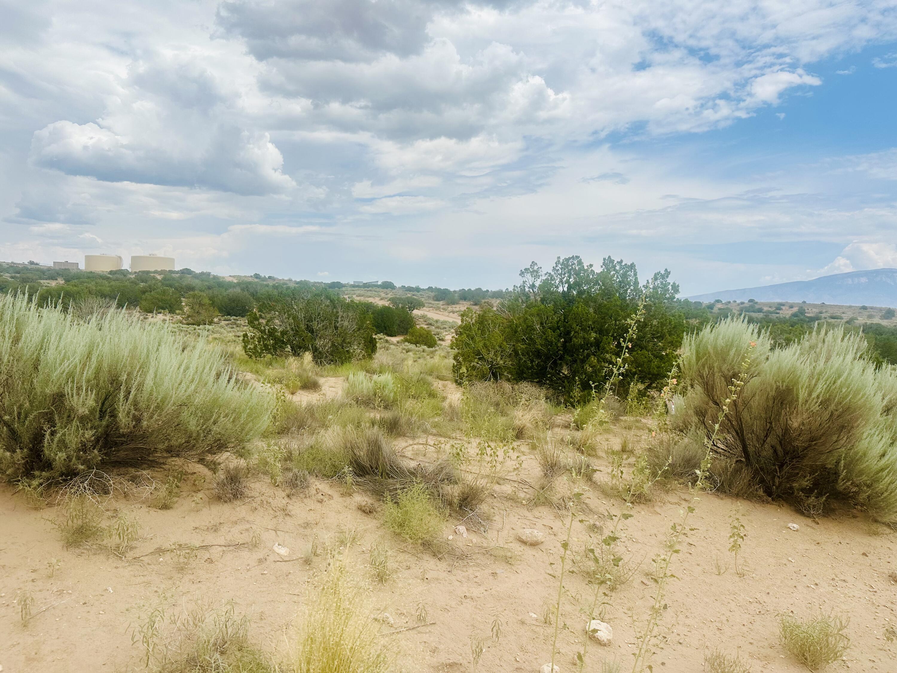 5208 Bachmann Court NE 