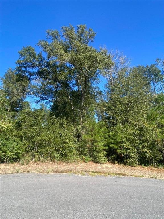 E Robinwood Drive