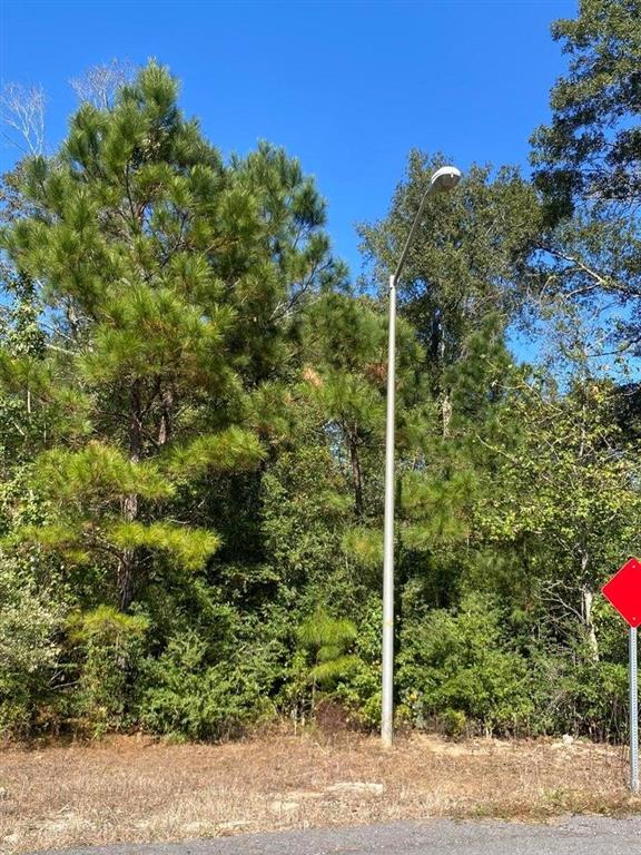 E Robinwood Drive — photo 4