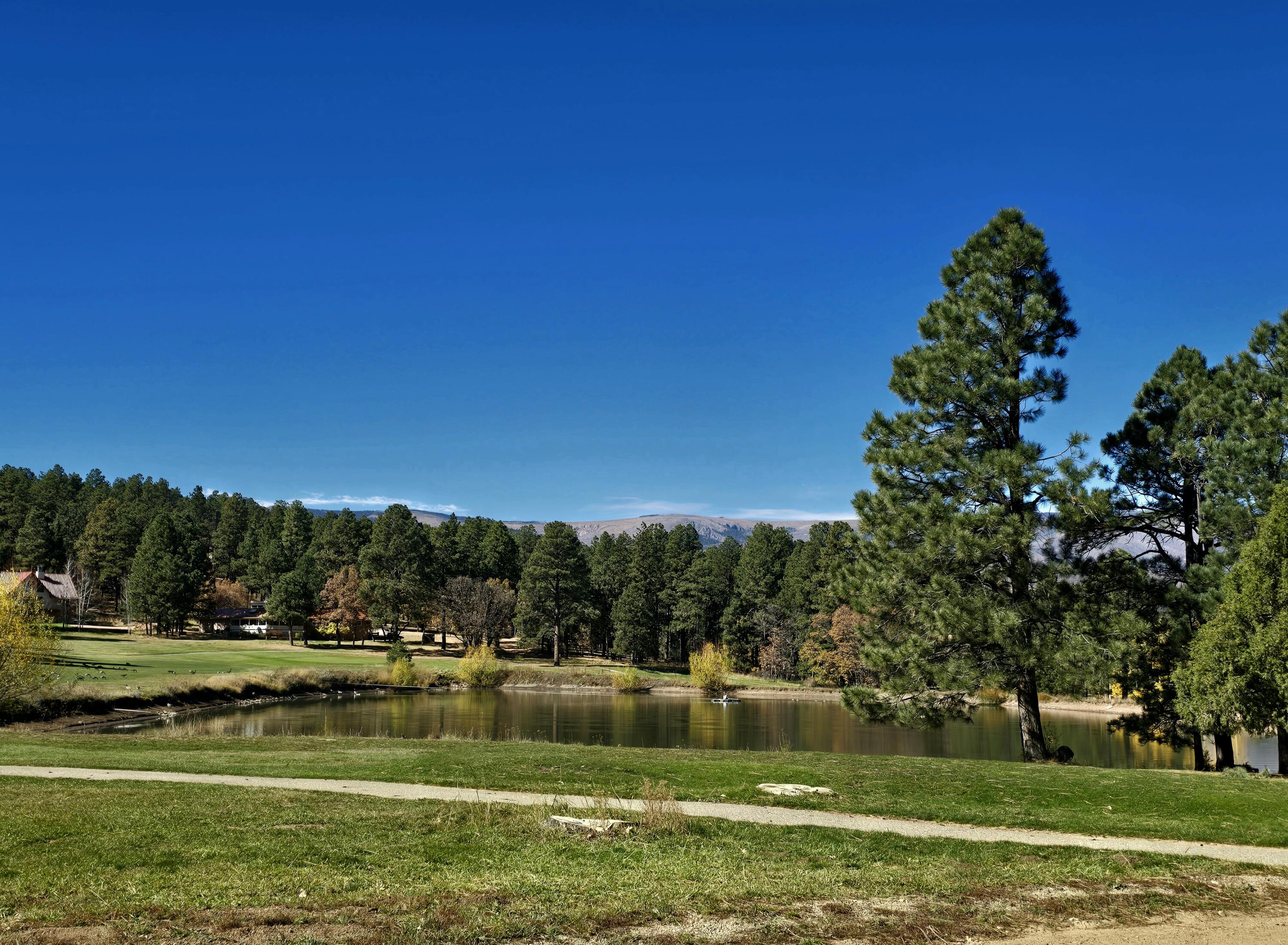 Homes for sale in Rociada, NM | 164 Camino Facil, Rociada, NM 87742 | MLS# 1094343