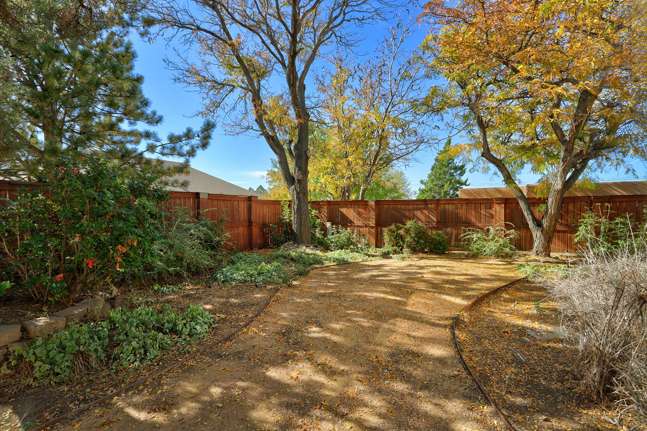 708 Raton Avenue SE Backyard