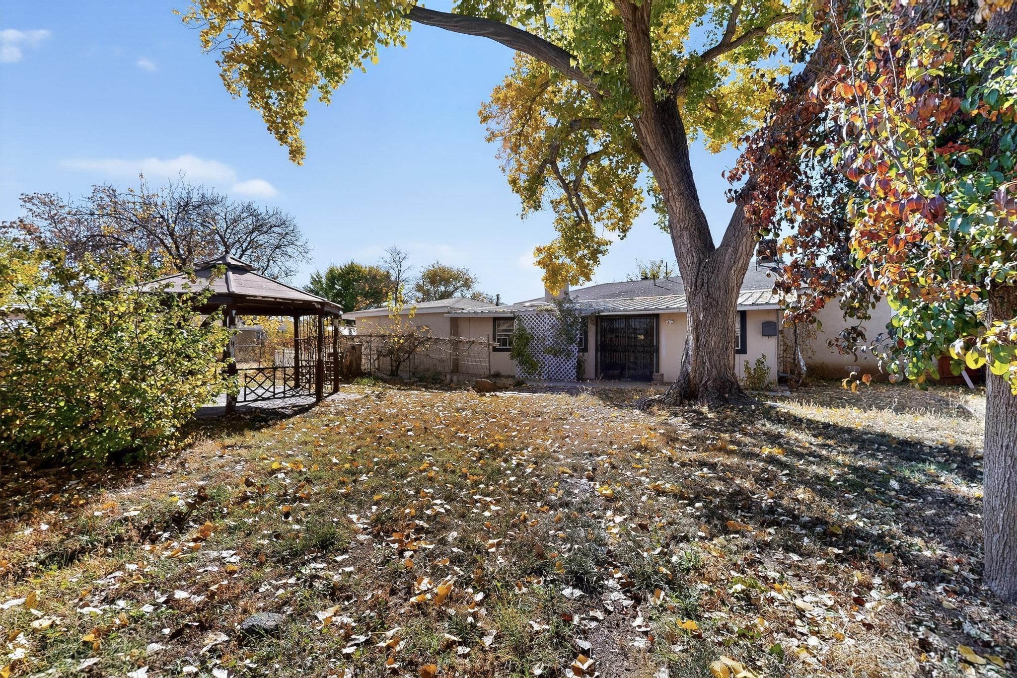 2715 Floral Road NW Backyard