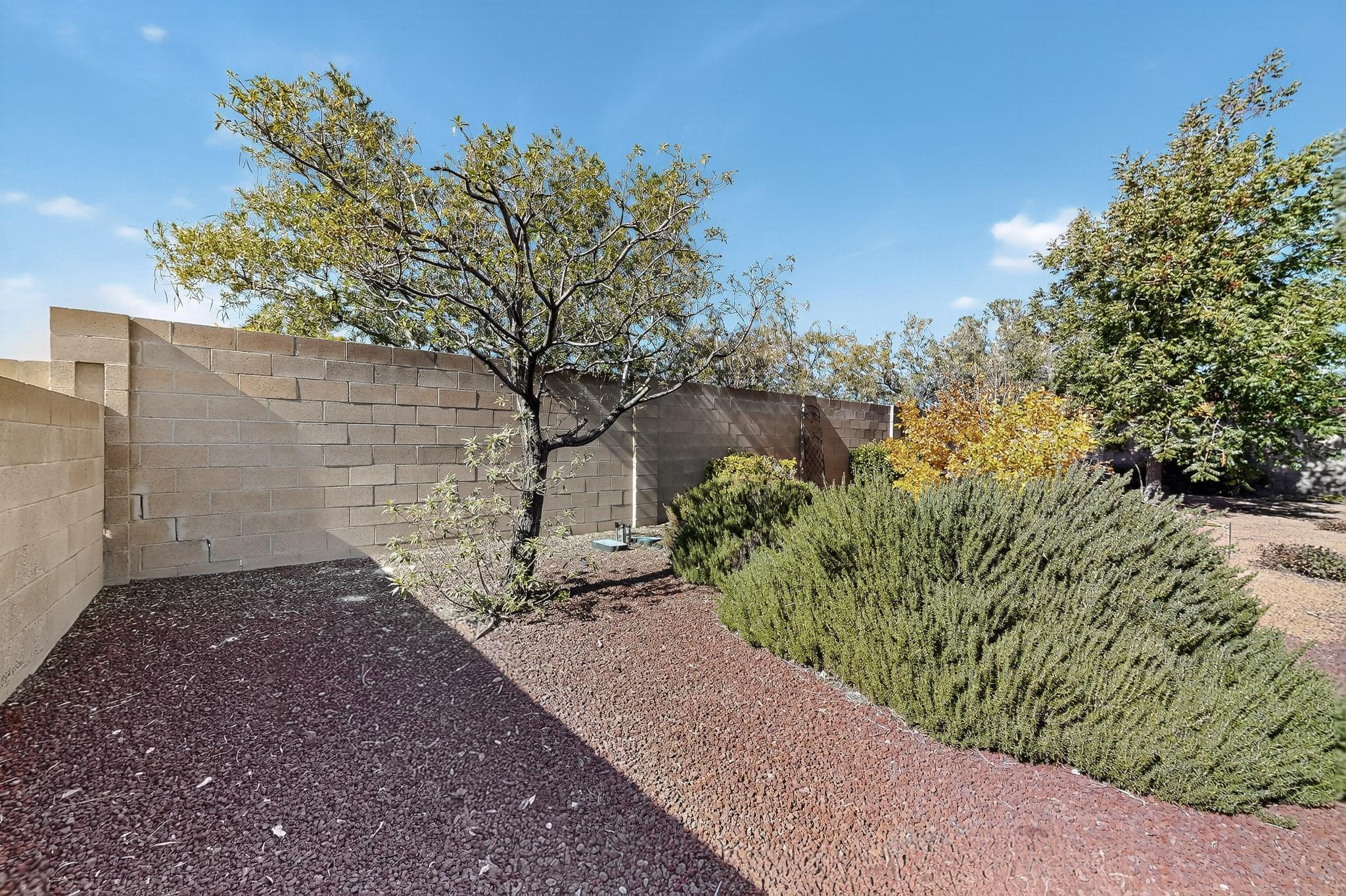 8415 La Paloma Court NW Backyard