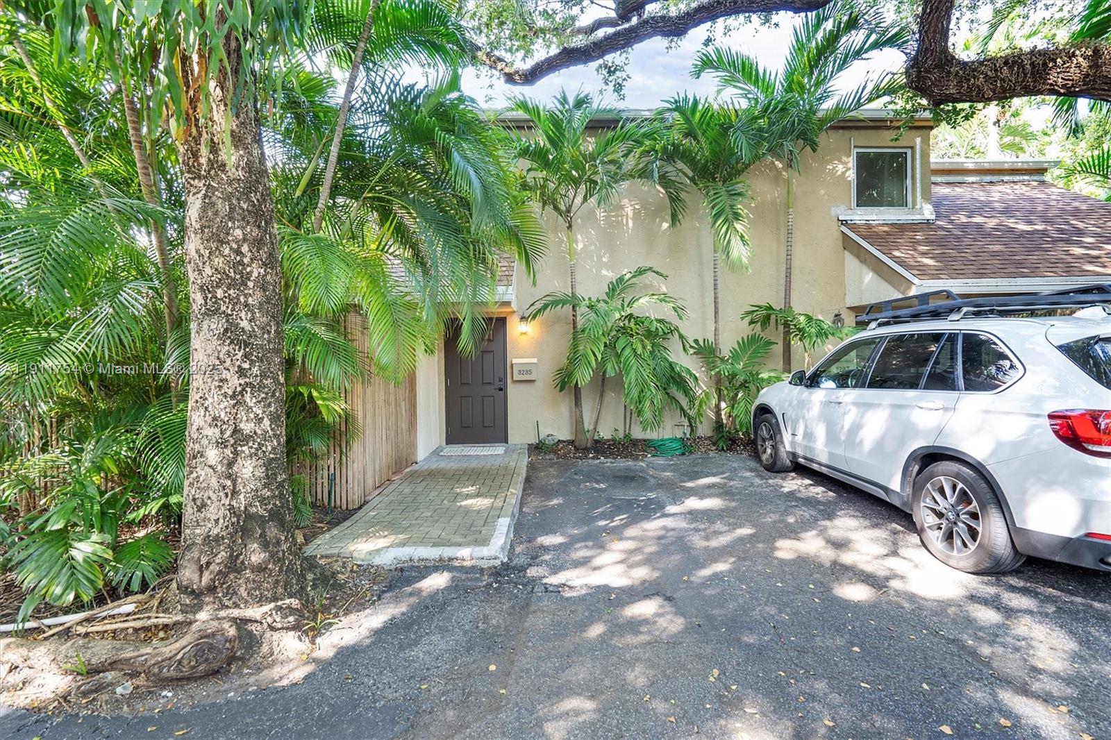 Serendipity In The Grove