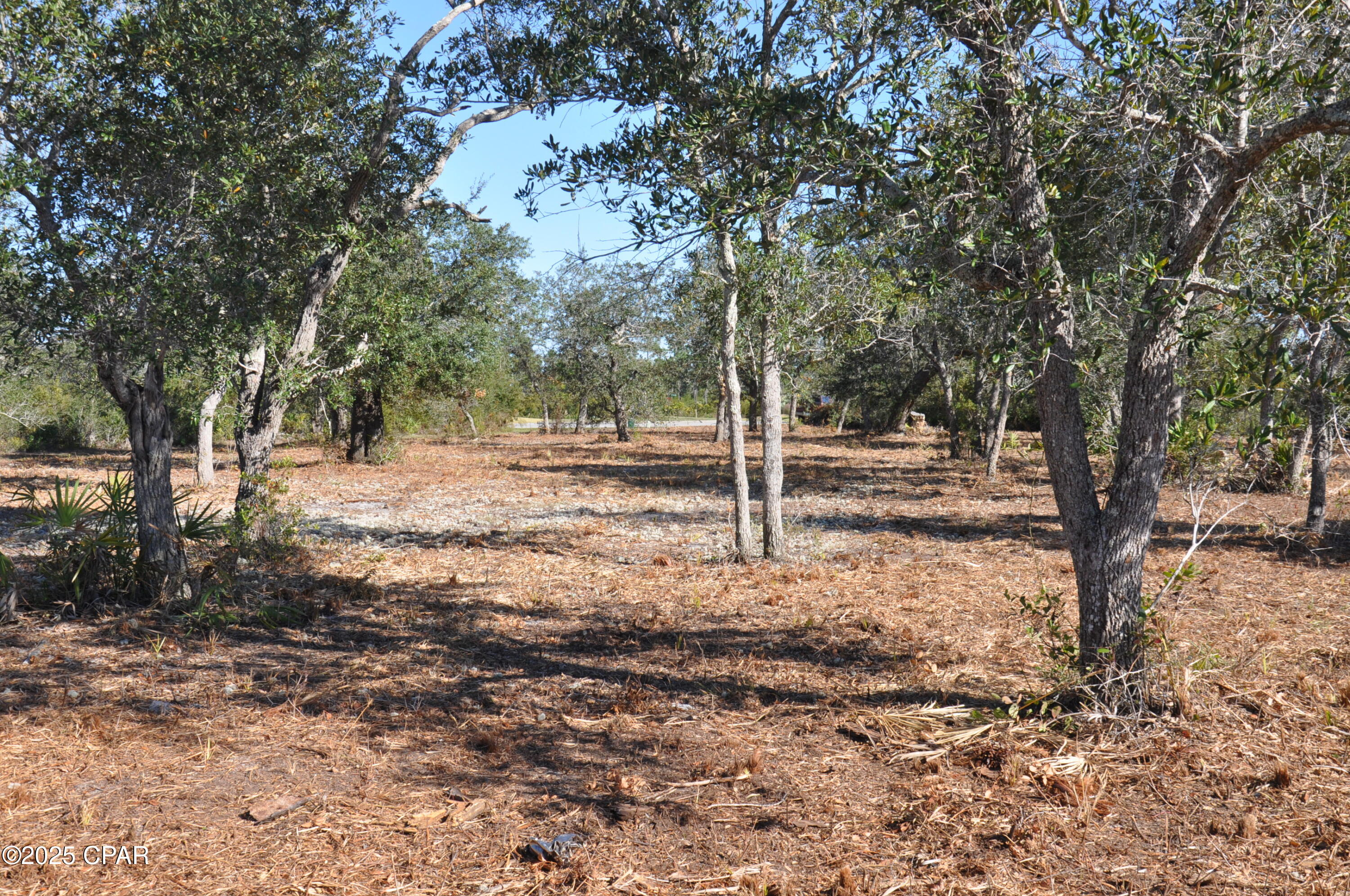 Image 14 For 909 Anchor Court