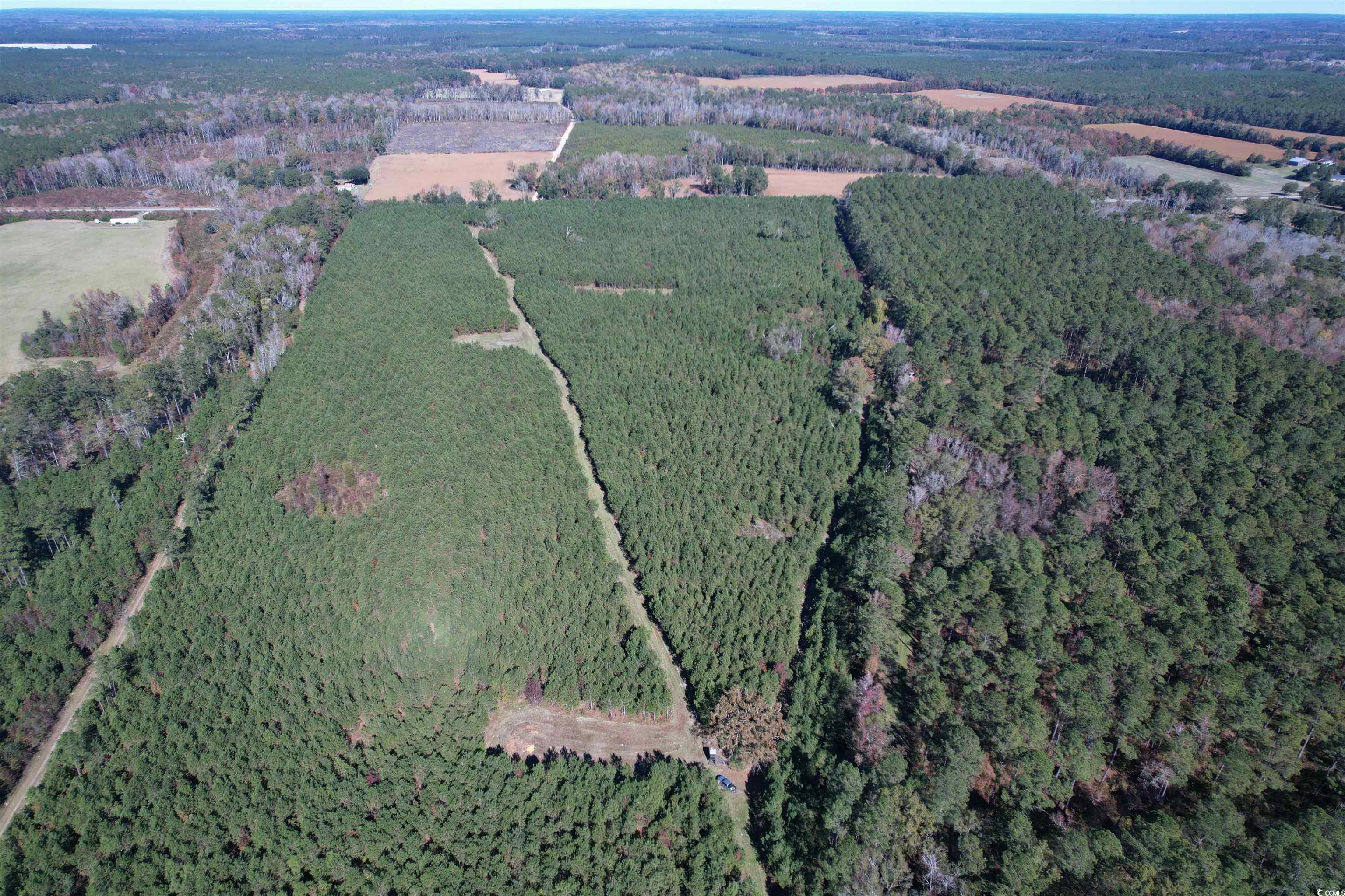 57.40 Acre Cades Rd. Cades, SC 29518