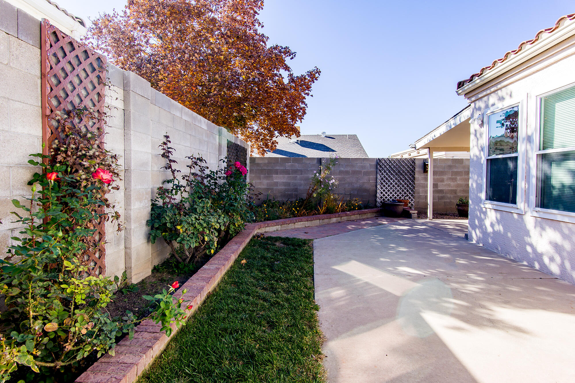 11508 ISLE ROYALE Road SE Backyard