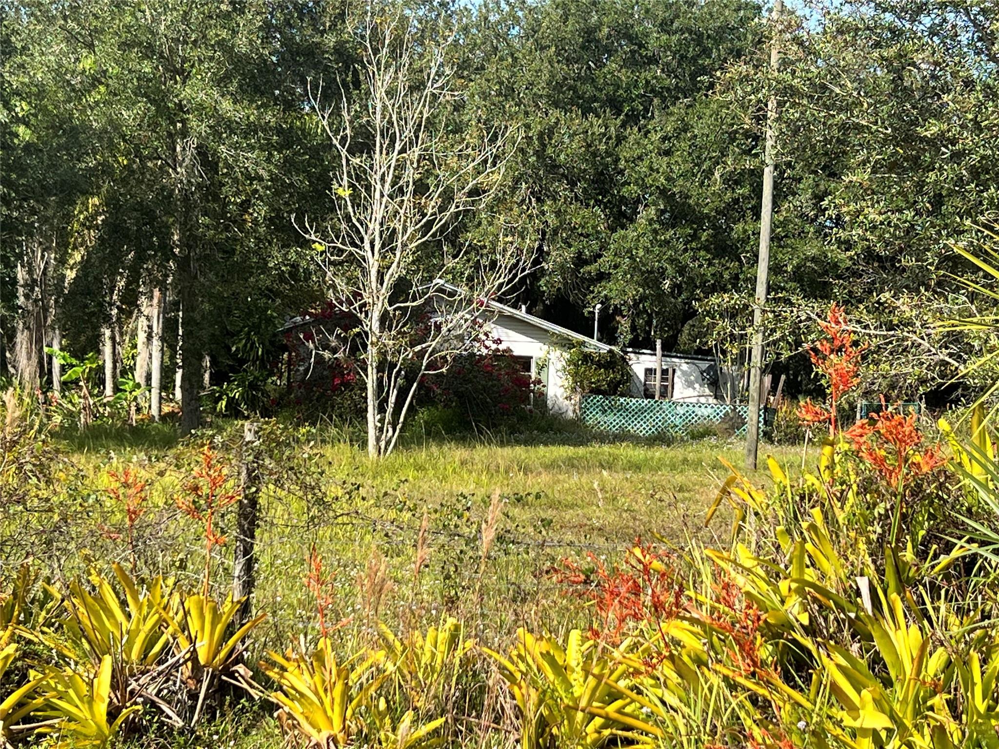 Southern Colonization