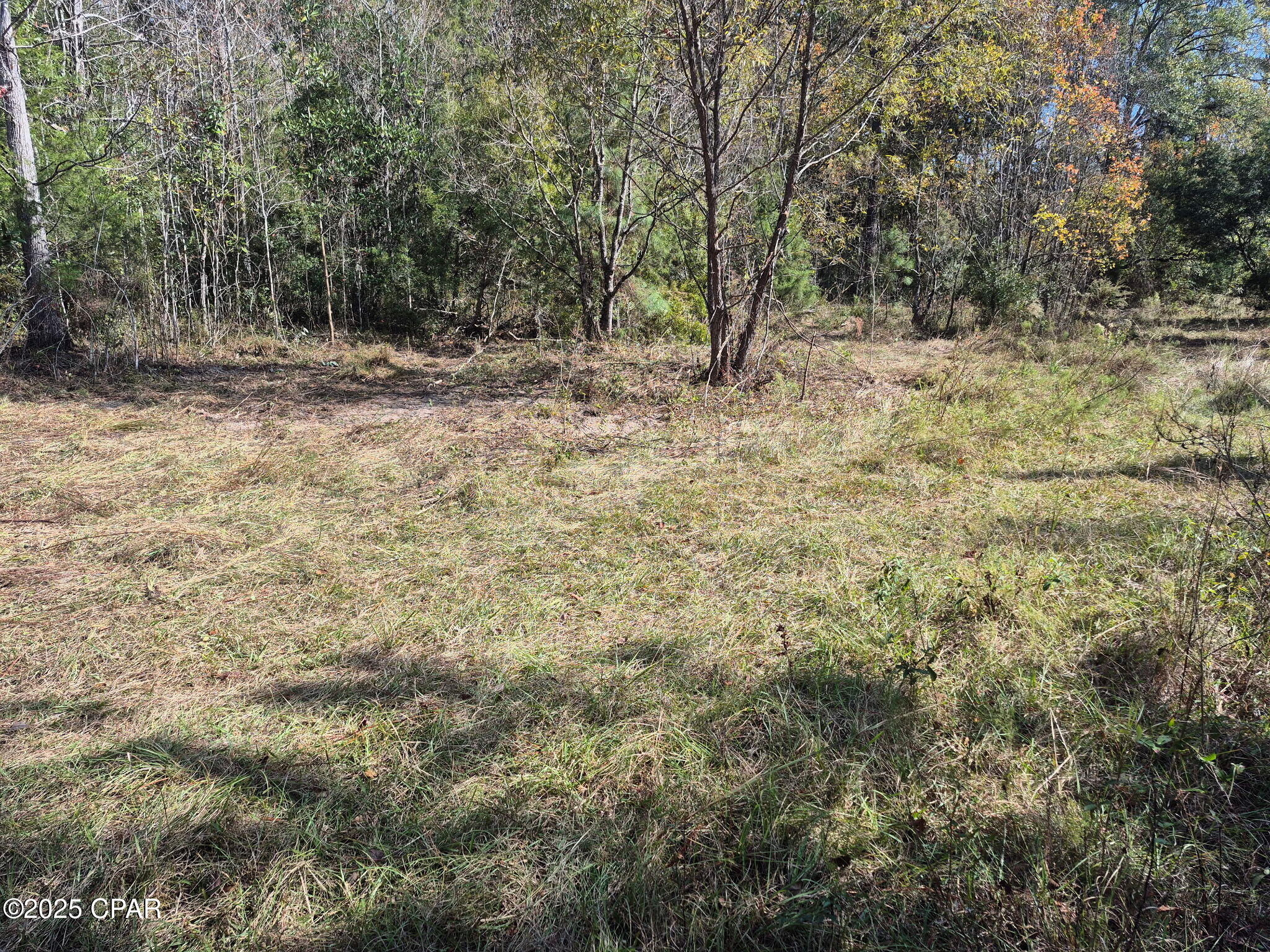 Image 12 For 000 Windy Lewis Road