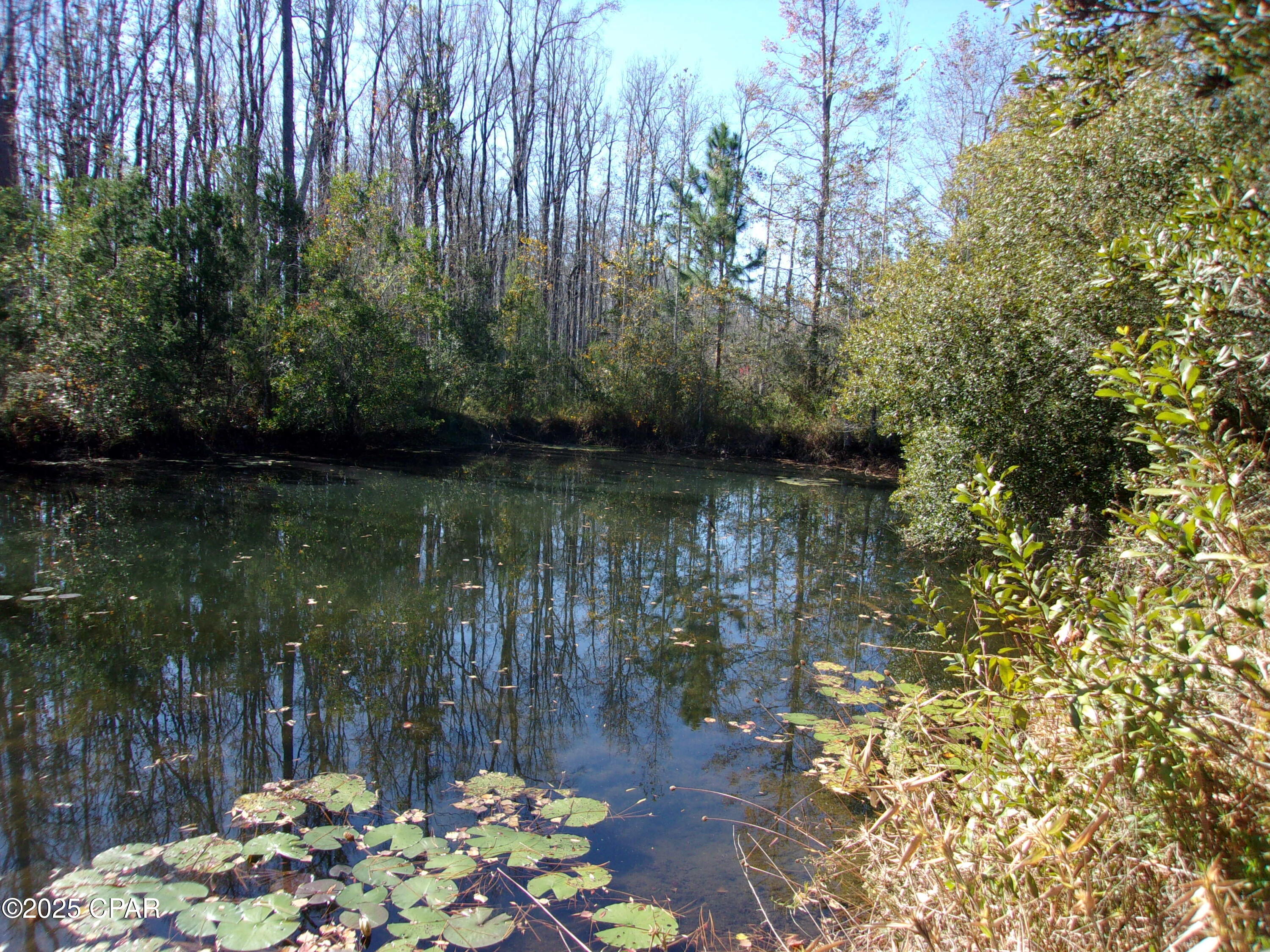 Image 14 For 000 Windy Lewis Road