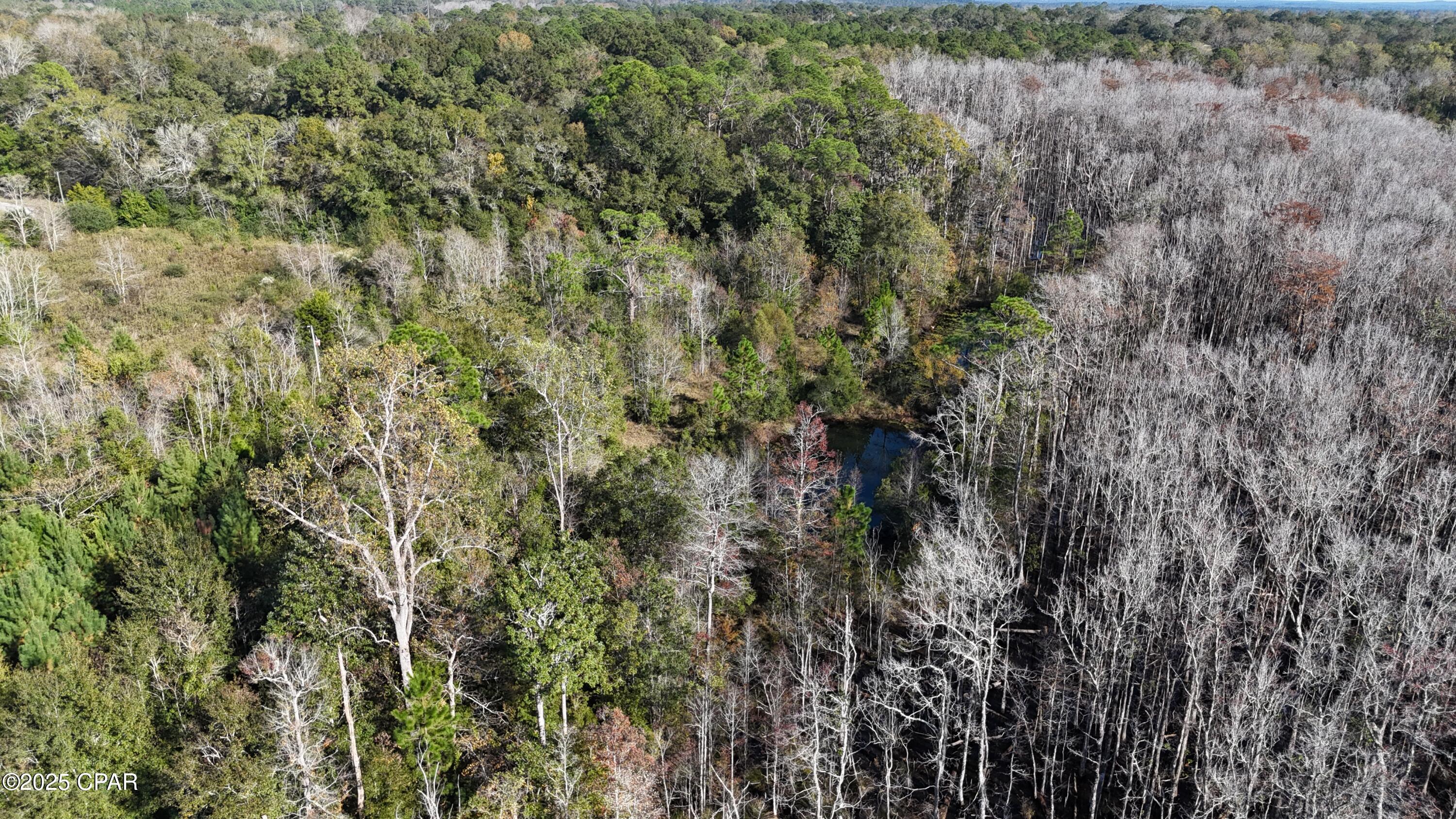 Image 17 For 000 Windy Lewis Road