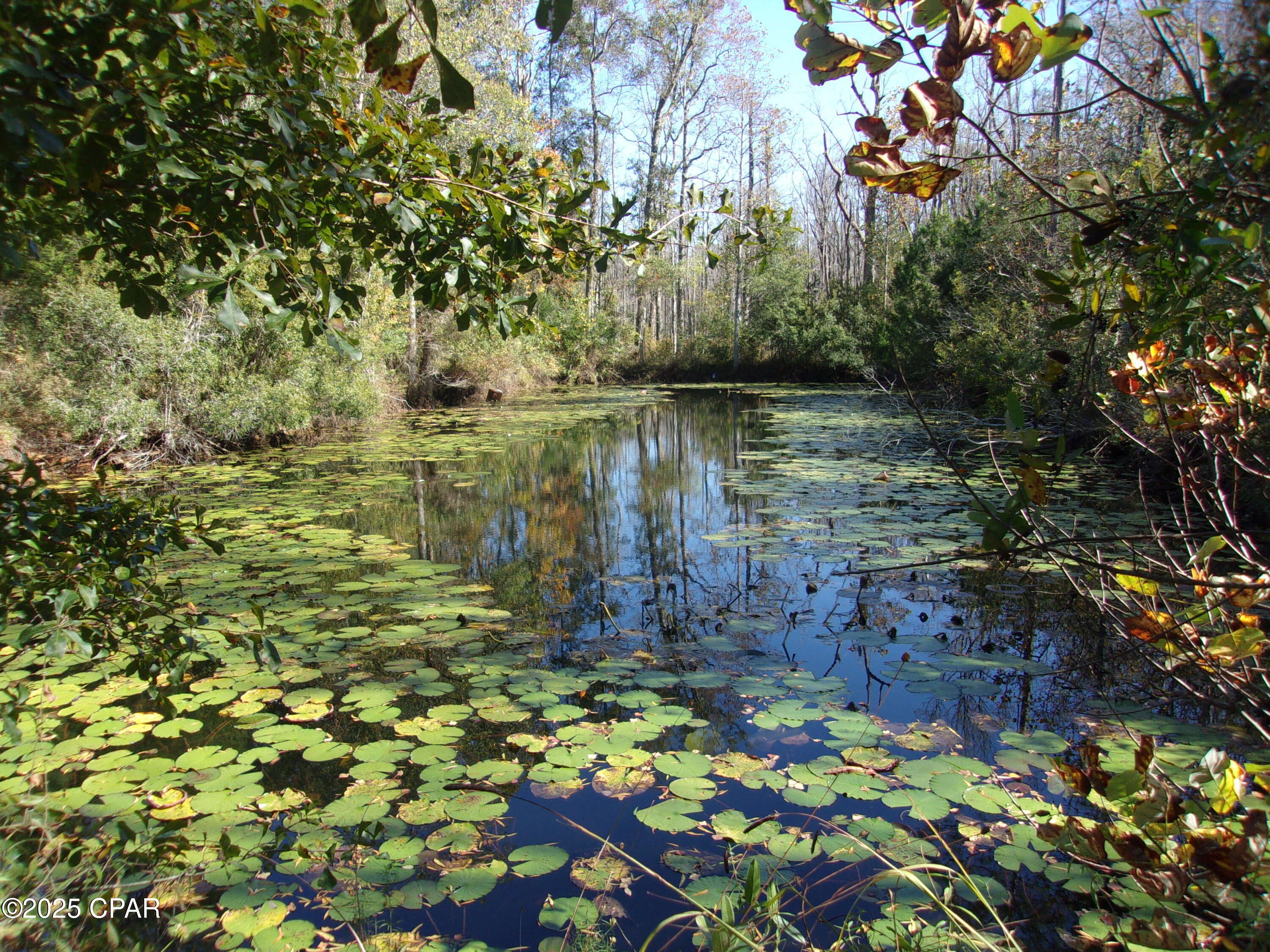 Image 5 For 000 Windy Lewis Road