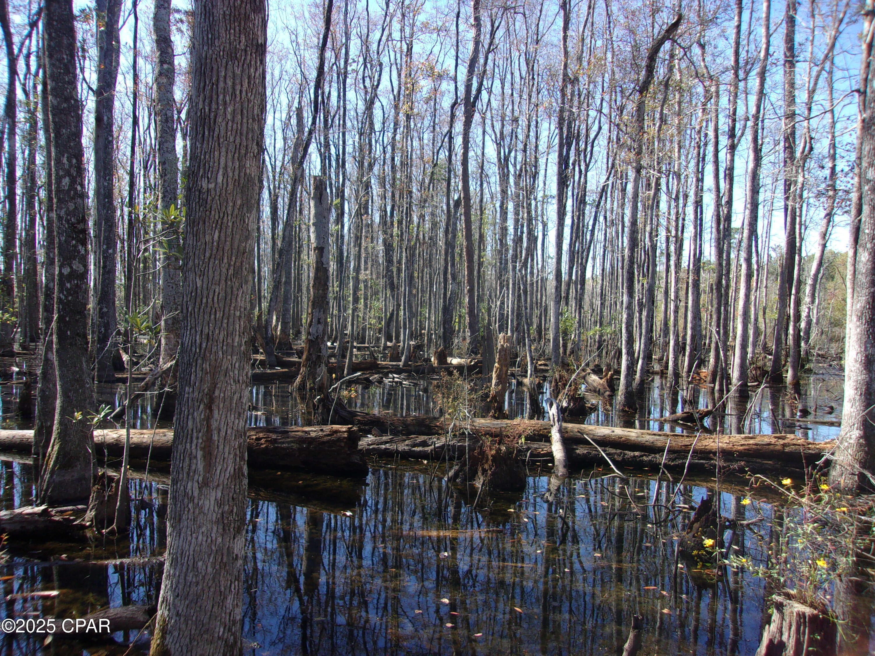 Image 6 For 000 Windy Lewis Road