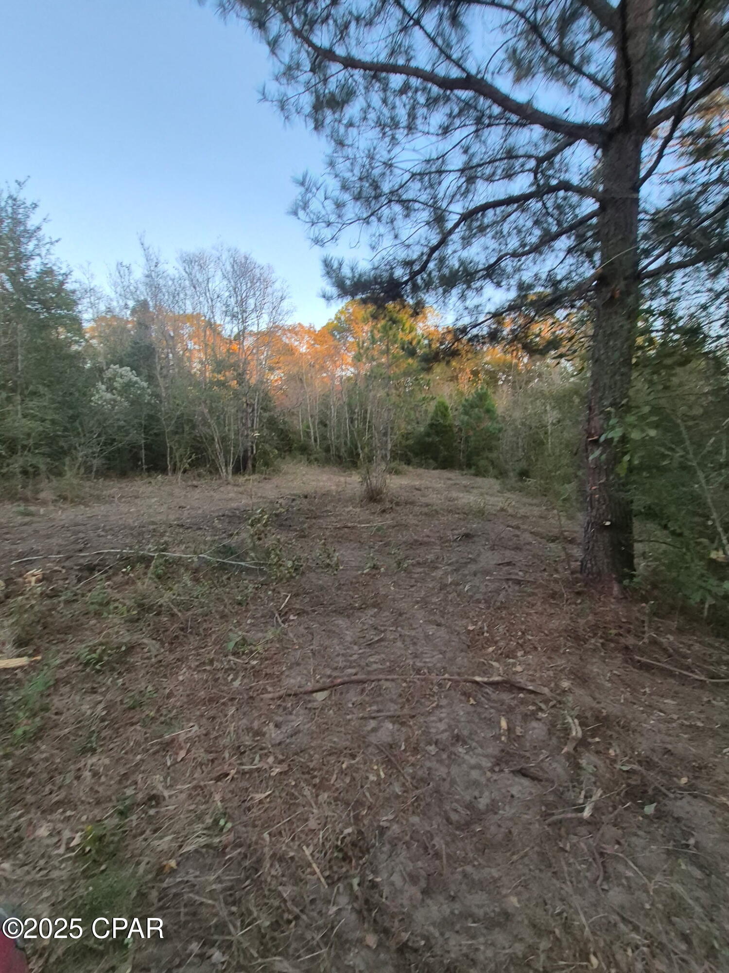 Image 8 For 000 Windy Lewis Road