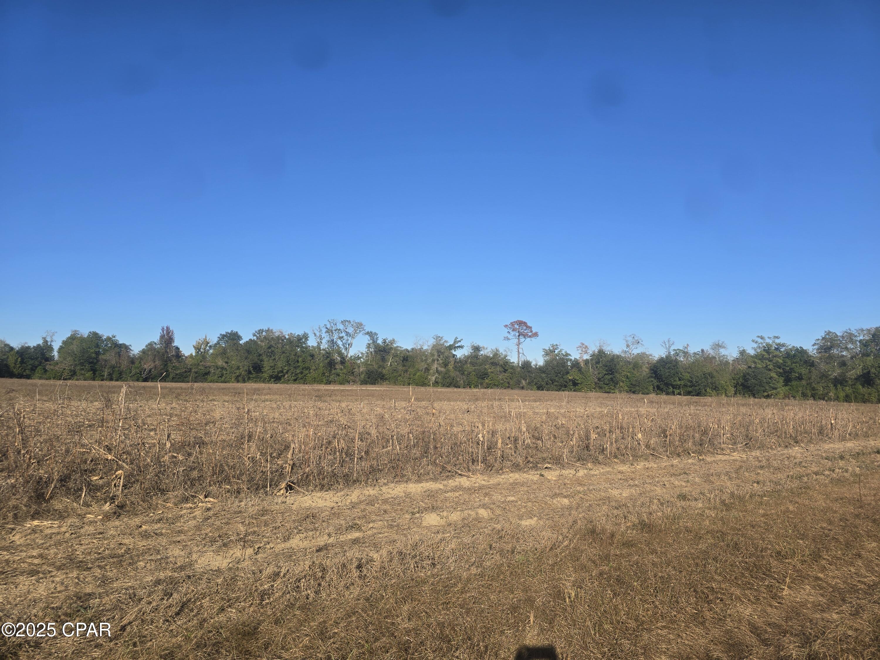 Image 2 For 0000 Texas Street