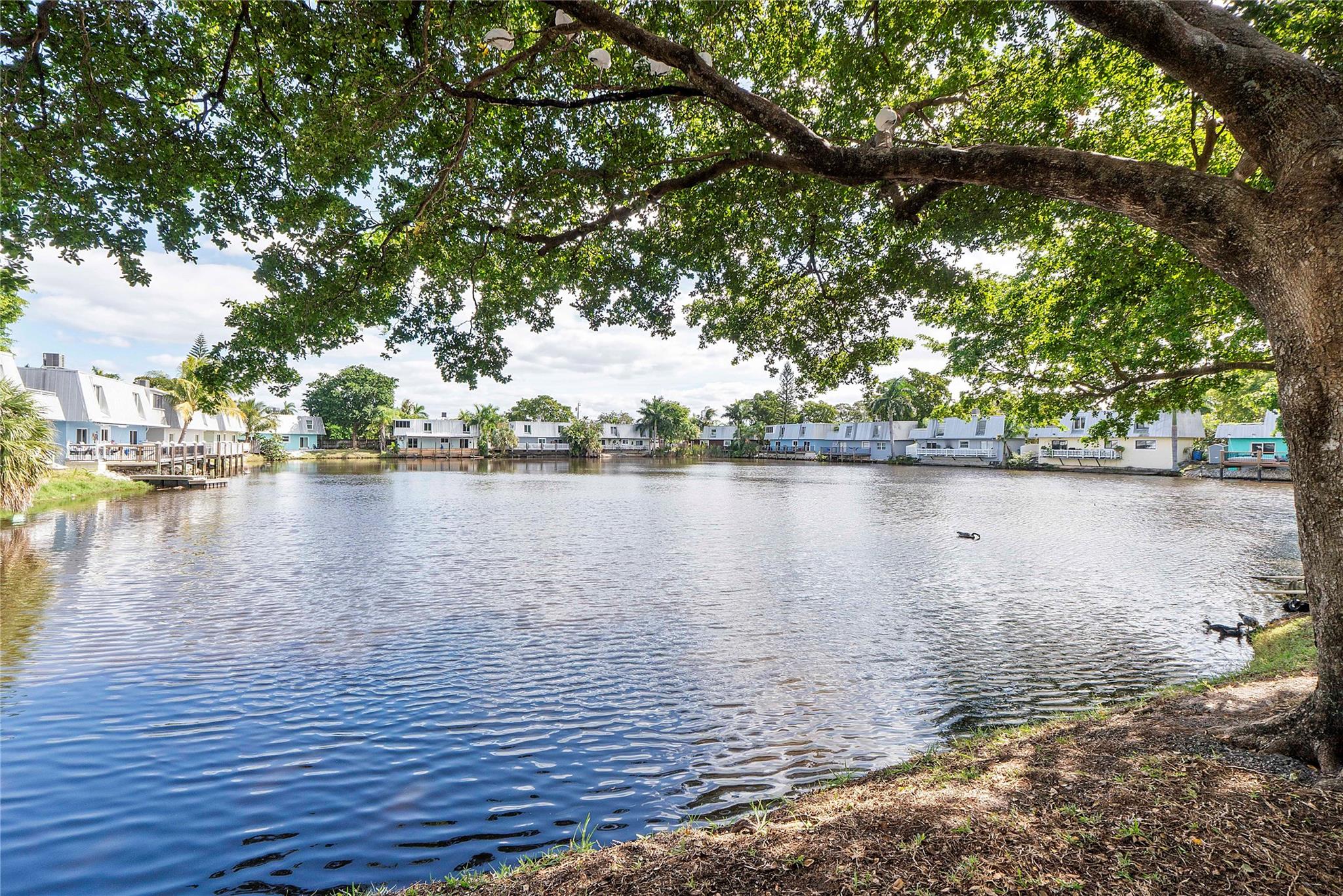 Homes for sale in Oakland Park, FL | 4050 Ne 12th Ter #39-2, Oakland Park, FL 33334 | MLS# F10535523