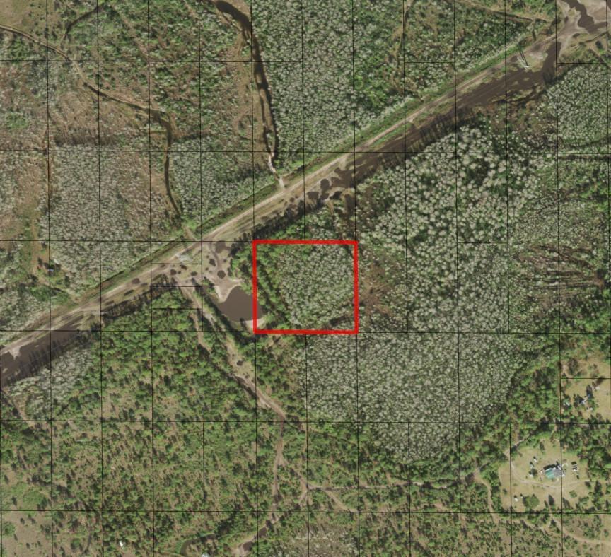 Homes for sale in St Cloud, FL | 0 Holopaw Groves Rd, St Cloud, FL 34772 | MLS# F10536884