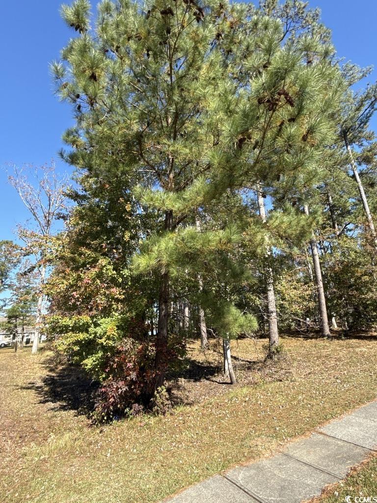 2405 Gist Ln. Myrtle Beach, SC 29588