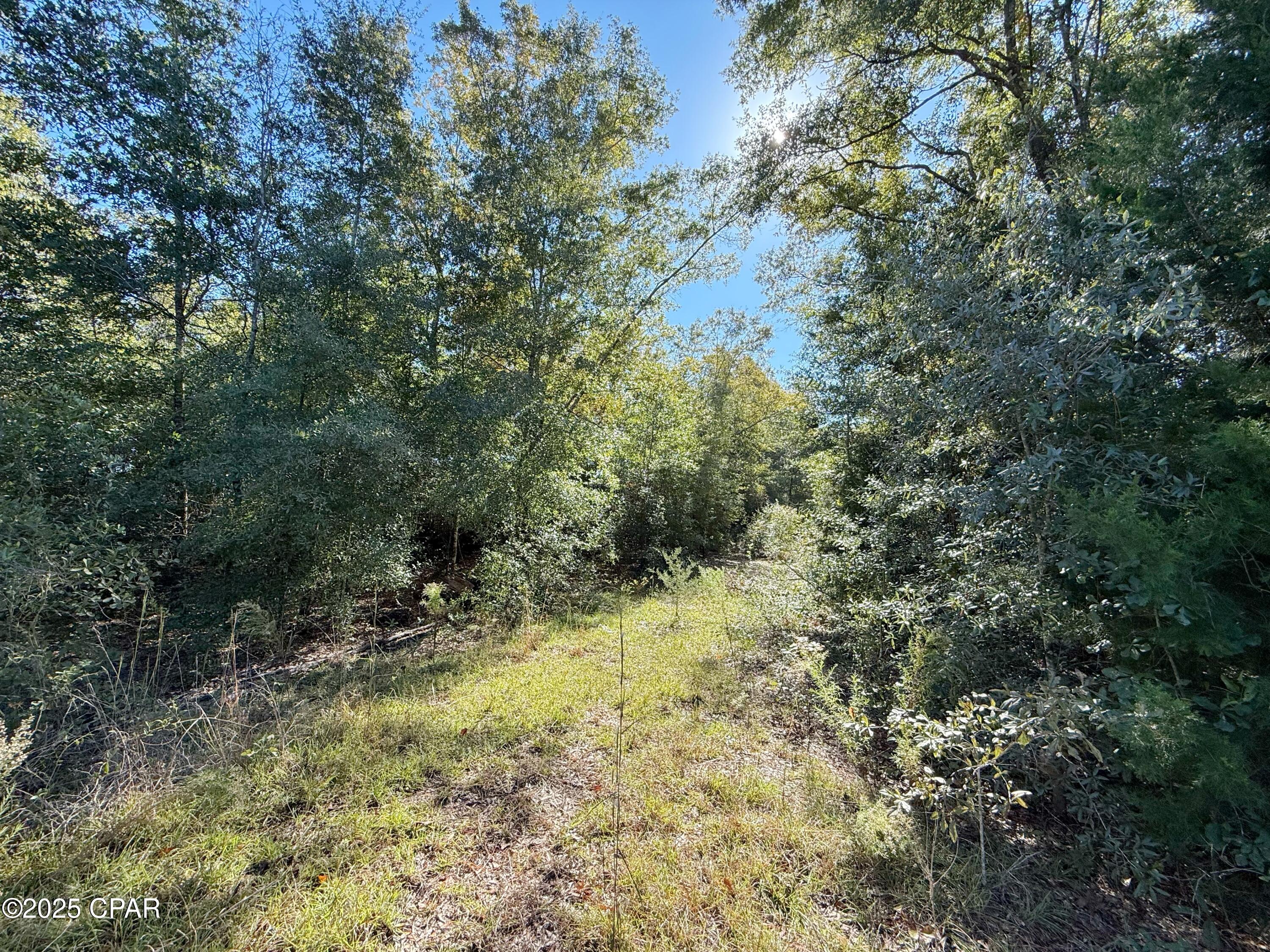 4th image of 00 Sweet Pond Rd, Greenwood, FL 32443 | MLS# 781673