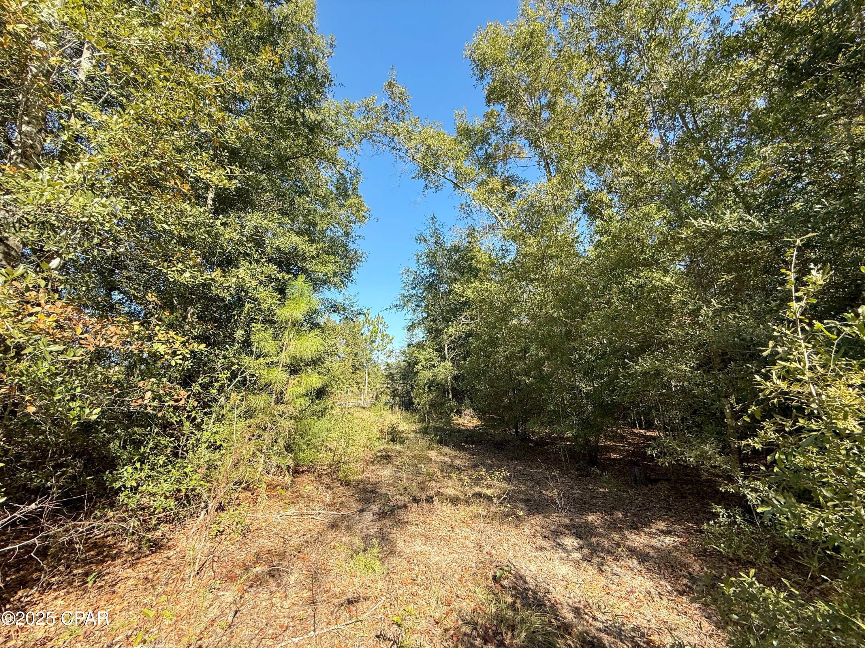 5th image of 00 Sweet Pond Rd, Greenwood, FL 32443 | MLS# 781673