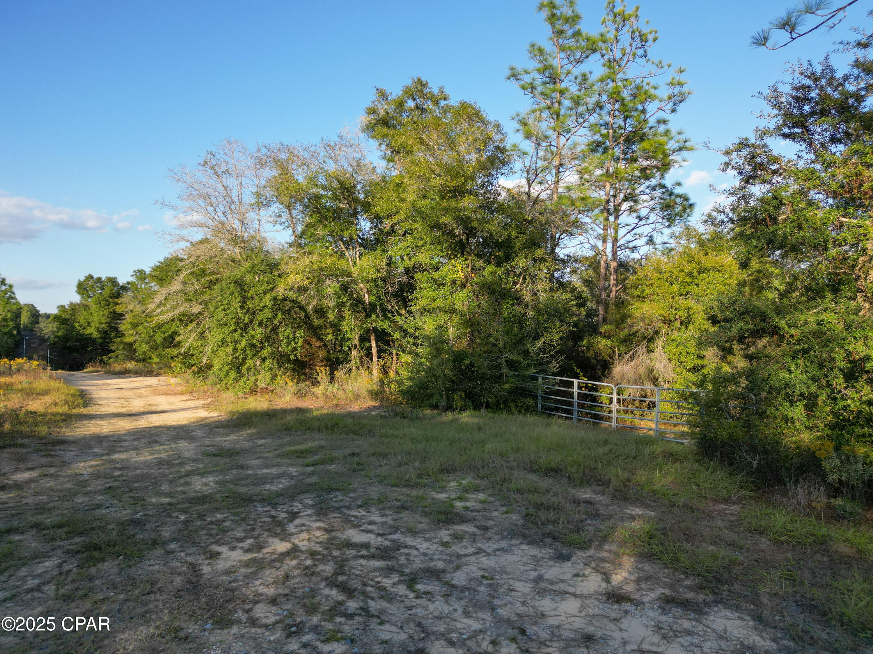 Image 16 For 4660 Grassy Pond Road