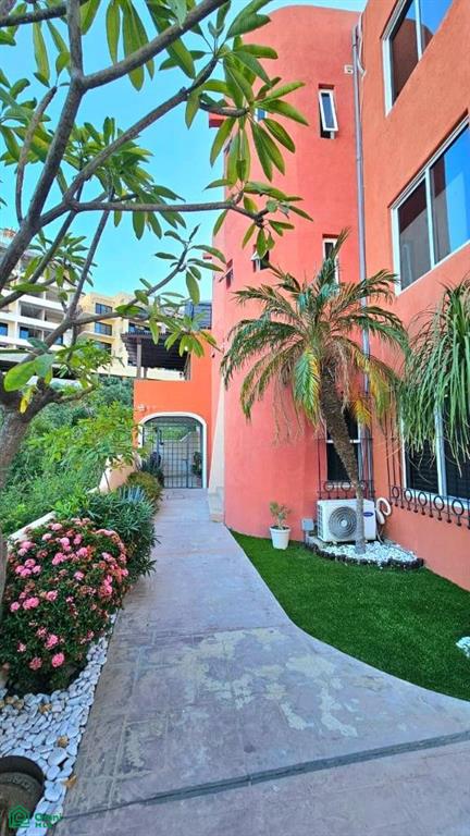 Miguel angel herrera, el descanso 4C, San José del Cabo (Los Cabos), Los Cabos, Baja California Sur