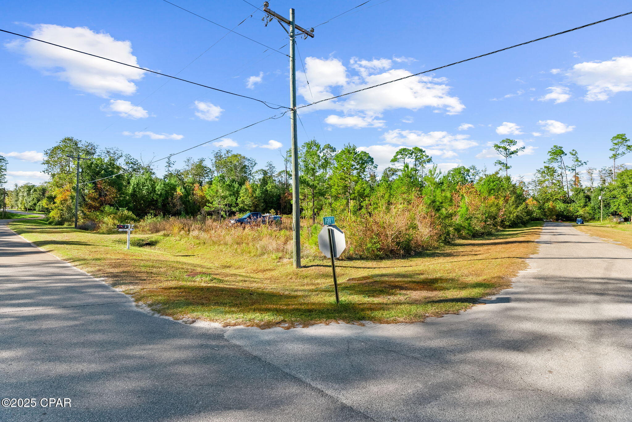 Image 12 For 135 Canning Drive