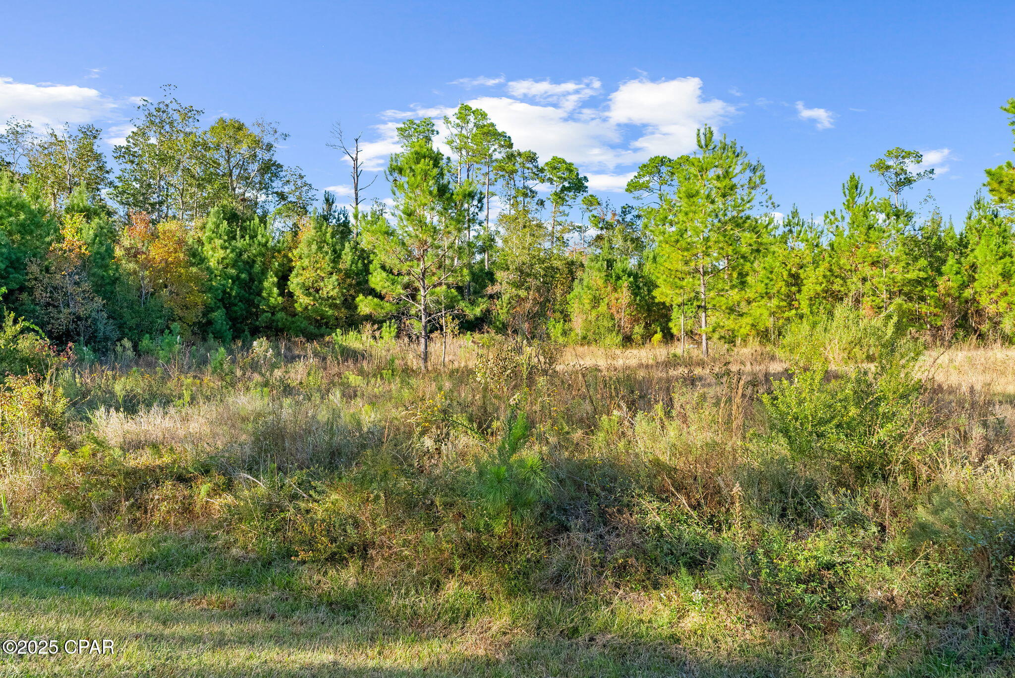 Image 13 For 135 Canning Drive