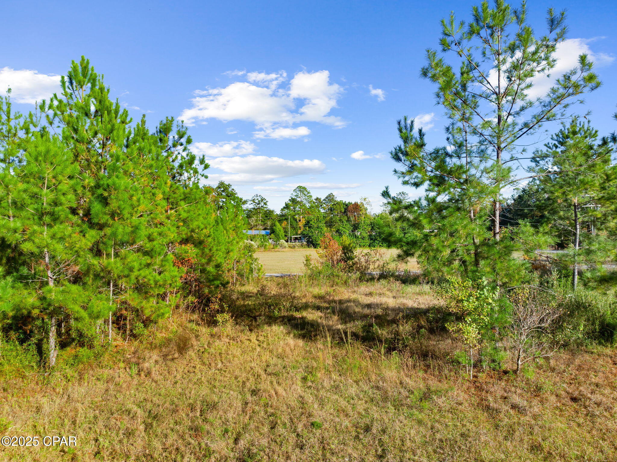 Image 14 For 135 Canning Drive