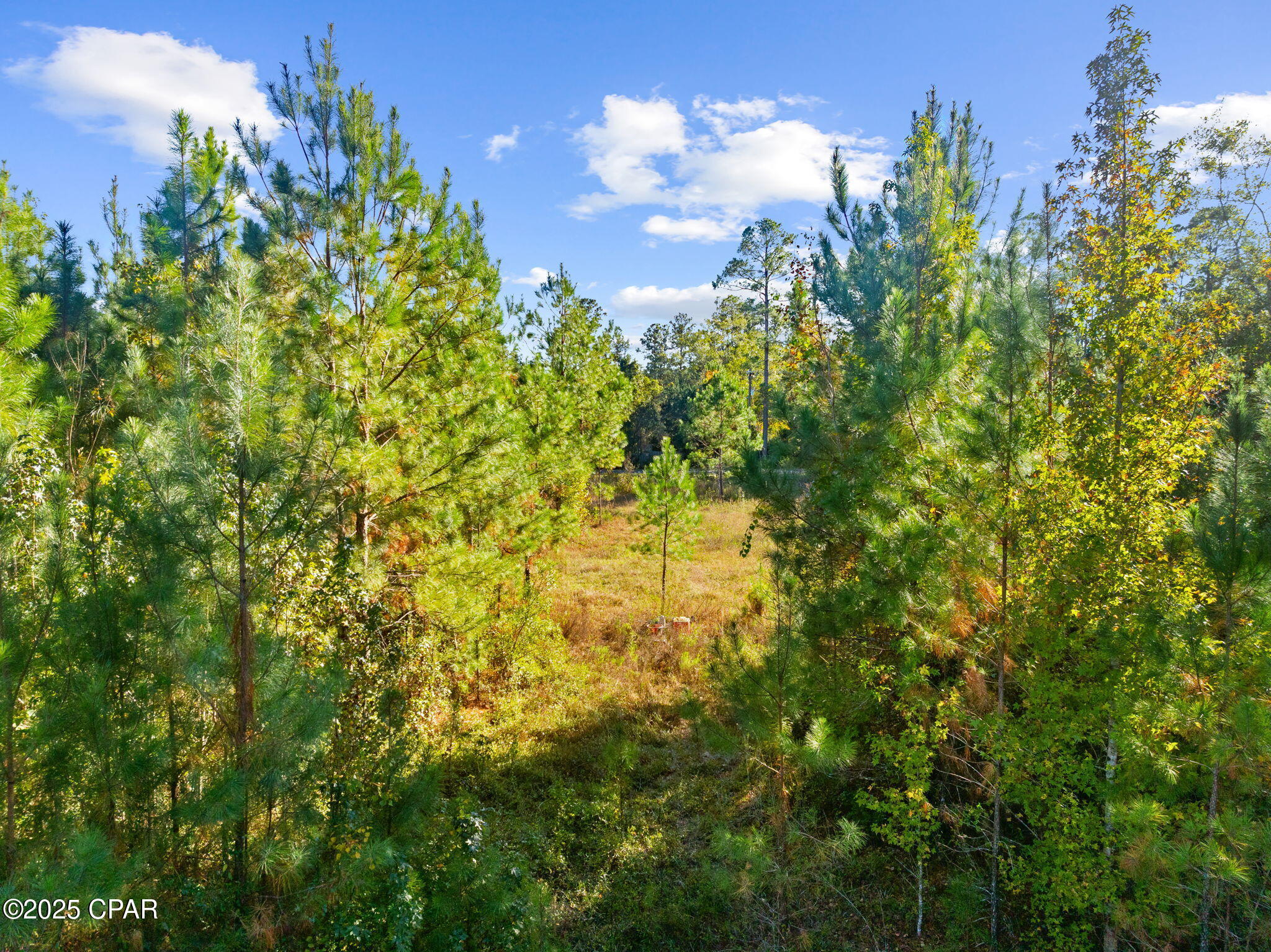 Image 15 For 135 Canning Drive