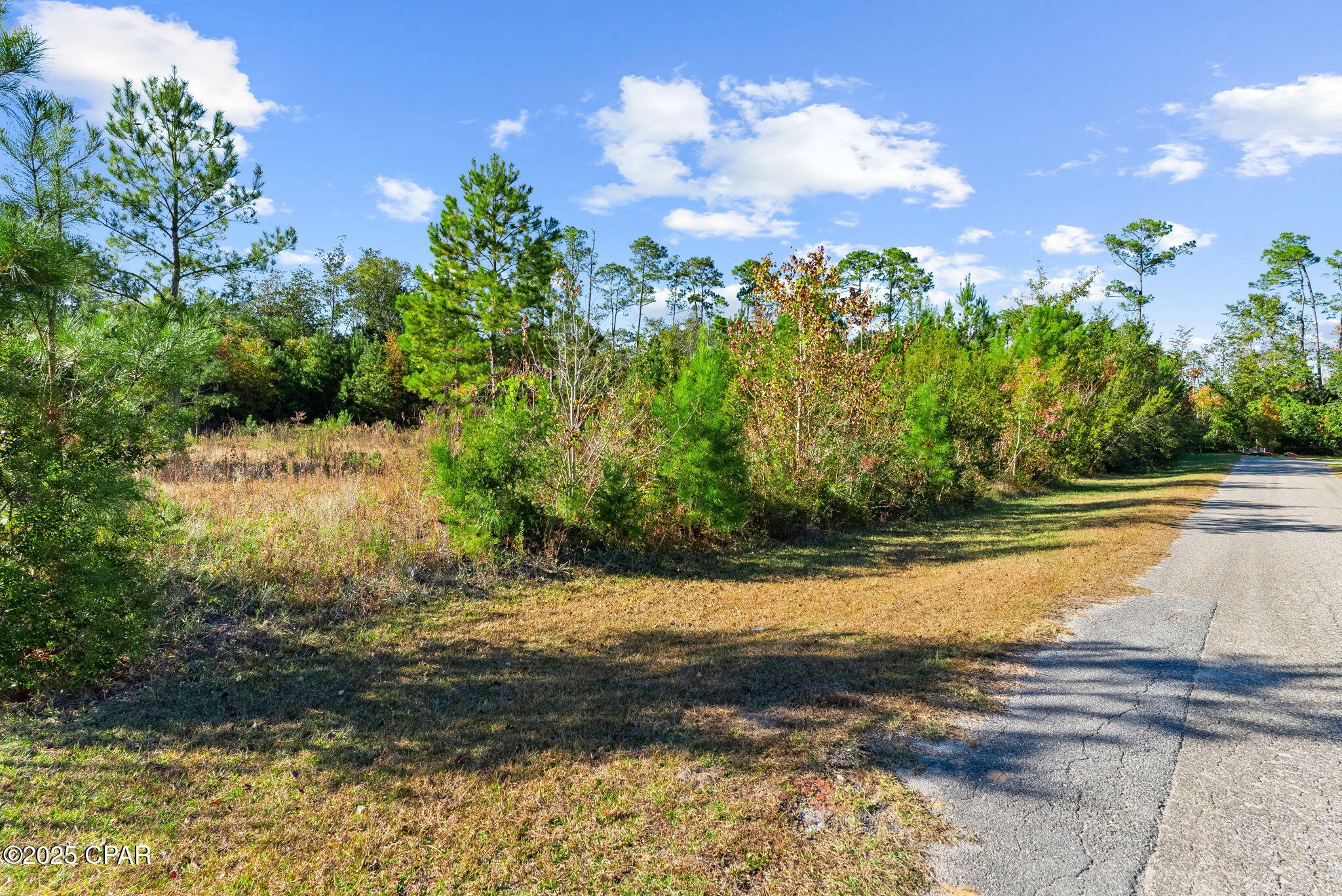 Image 18 For 135 Canning Drive