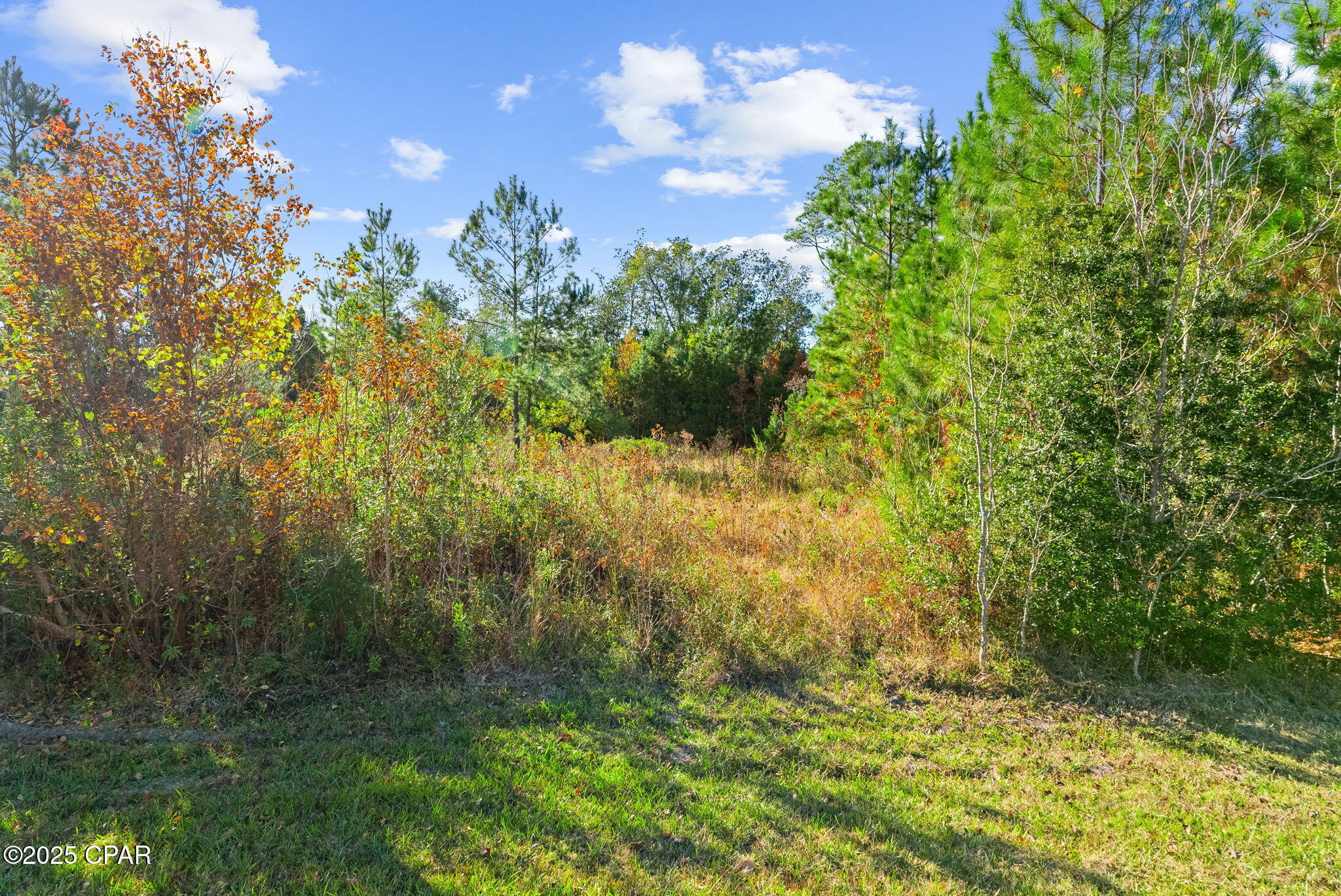 Image 19 For 135 Canning Drive