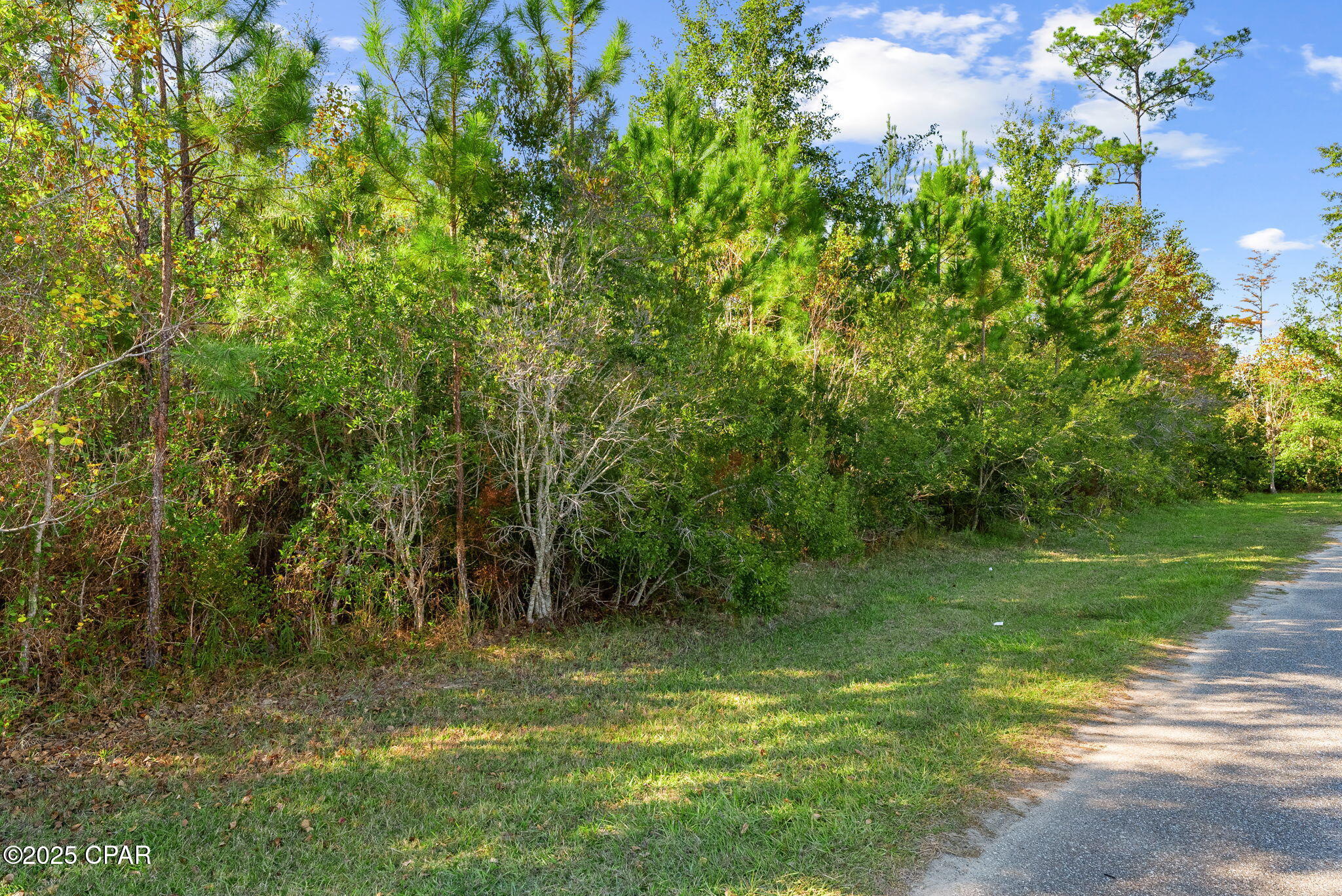 Image 20 For 135 Canning Drive