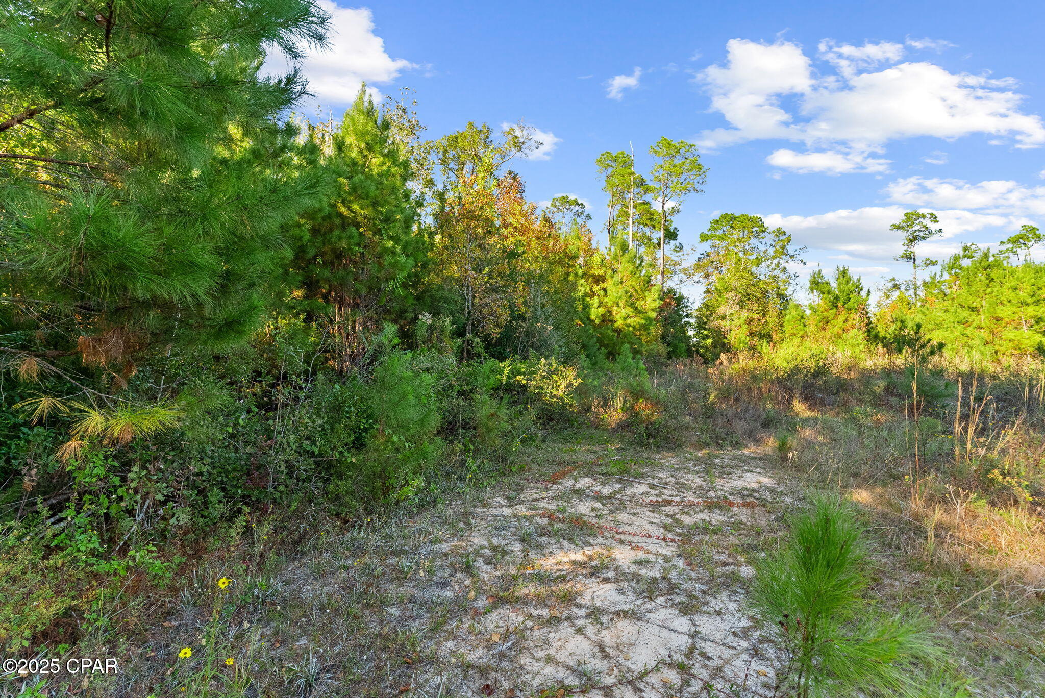 Image 21 For 135 Canning Drive