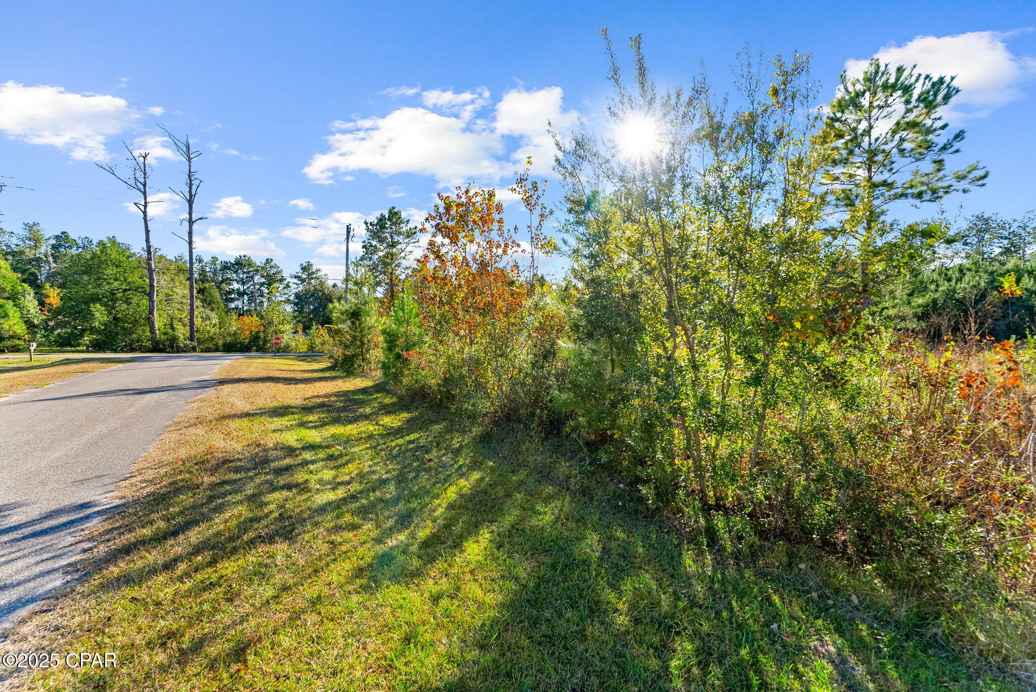 Image 8 For 135 Canning Drive