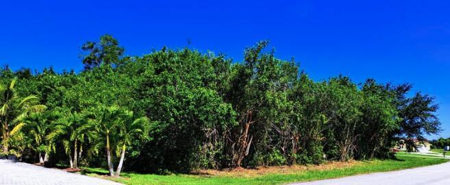 Port St Lucie Section 37