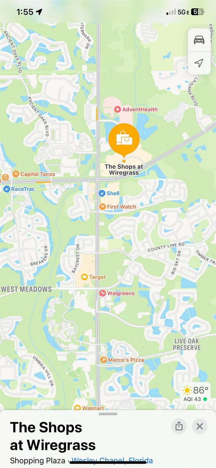 Homes for sale in Wesley Chapel, FL | 32179 Logan Elm Ter, Wesley Chapel, FL 33543 | MLS# F10536848