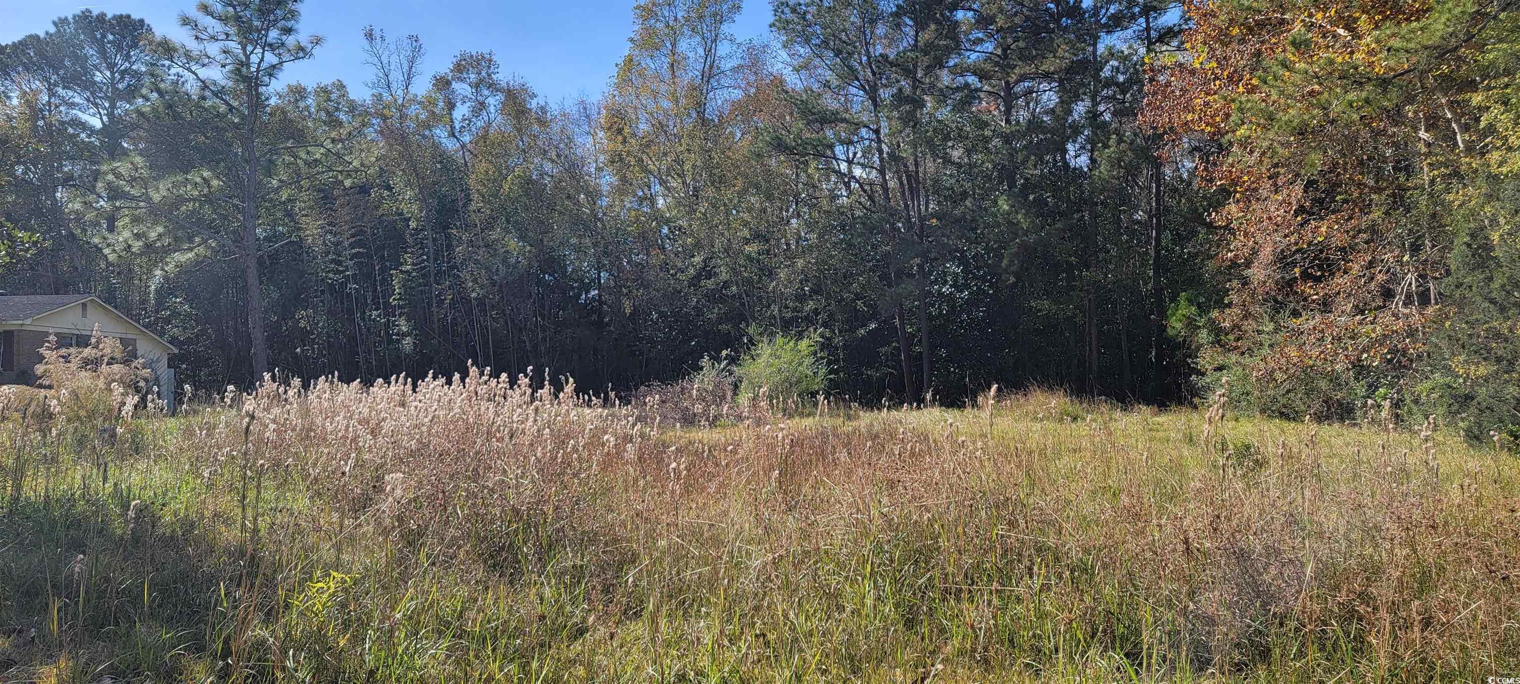 121 Oak Log Lake Rd. Conway, SC 29526