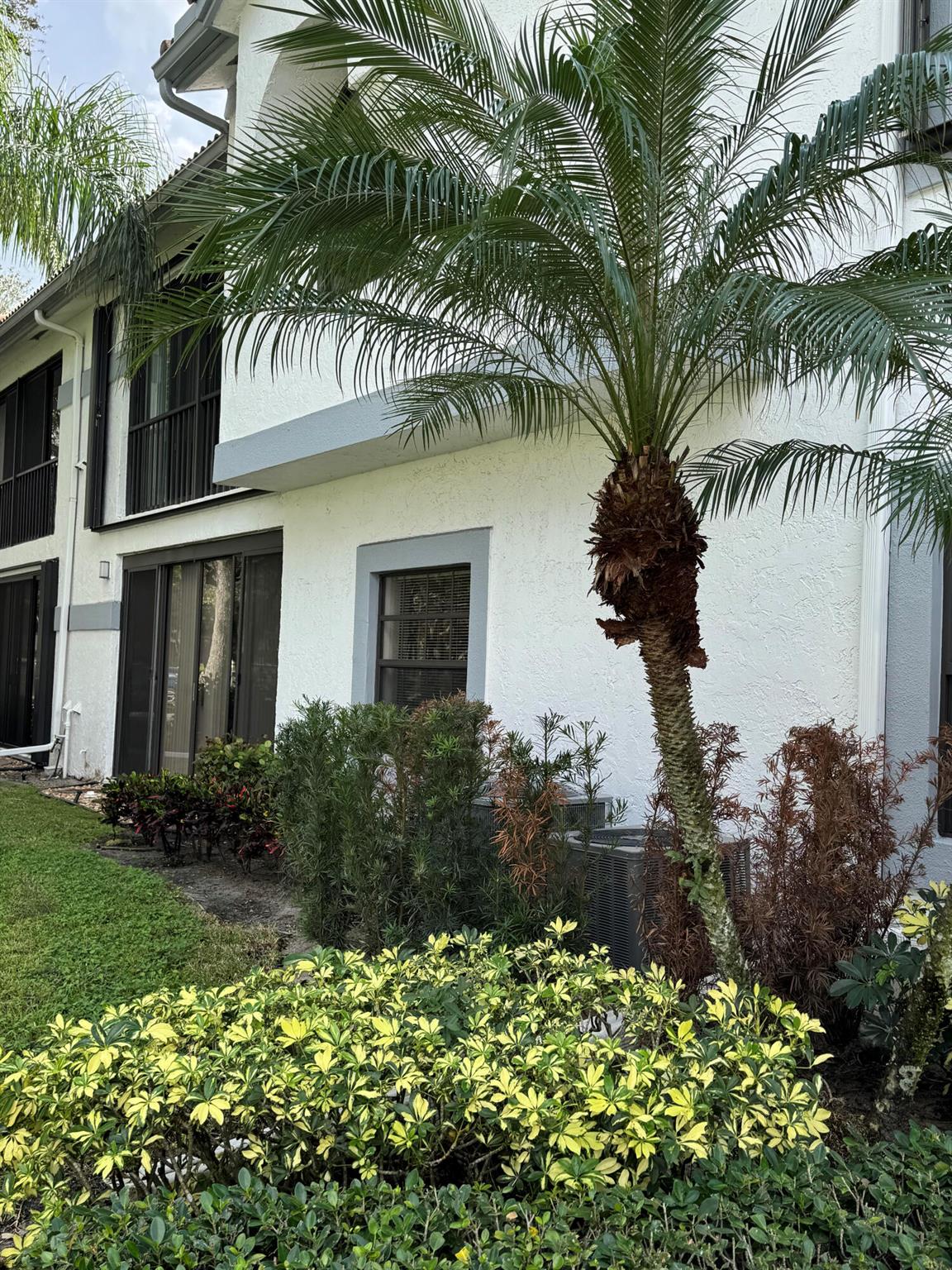 Platina Alexandra Village