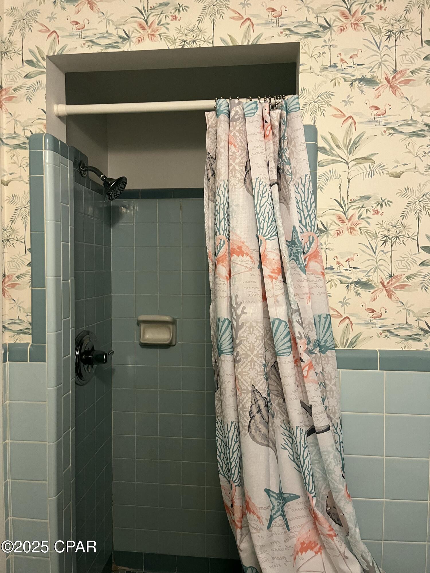 Image 11 For 501 Camelia St Street