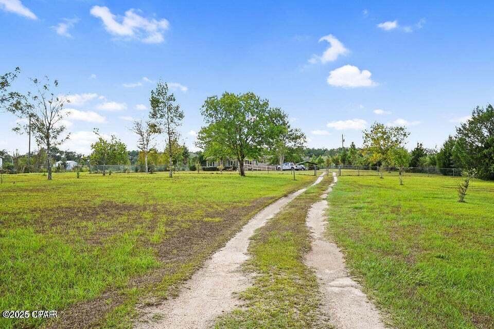 Listing photo id 7 for 1310 Highway 177a