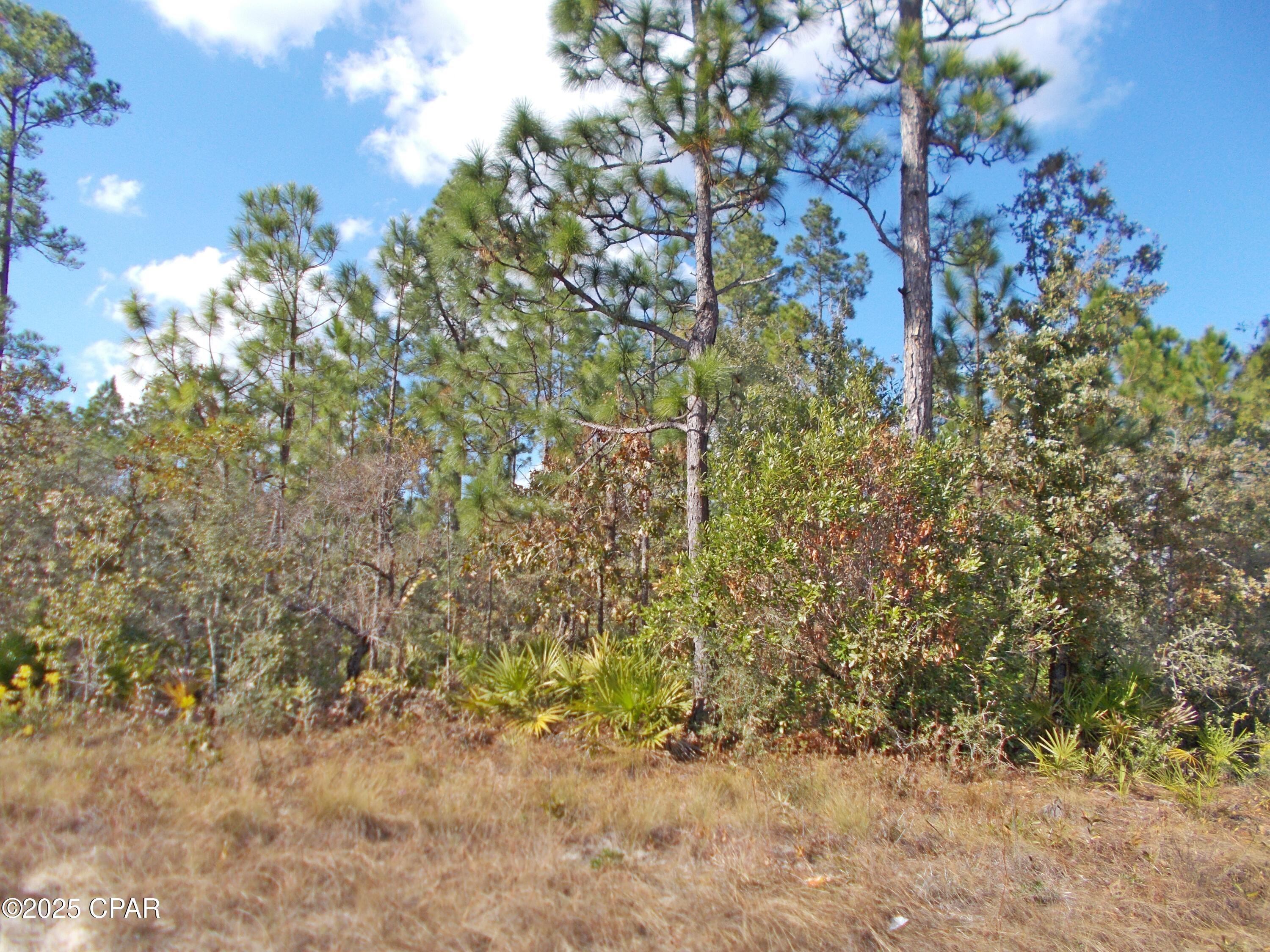 Image 1 For 00 Nw Cr 167