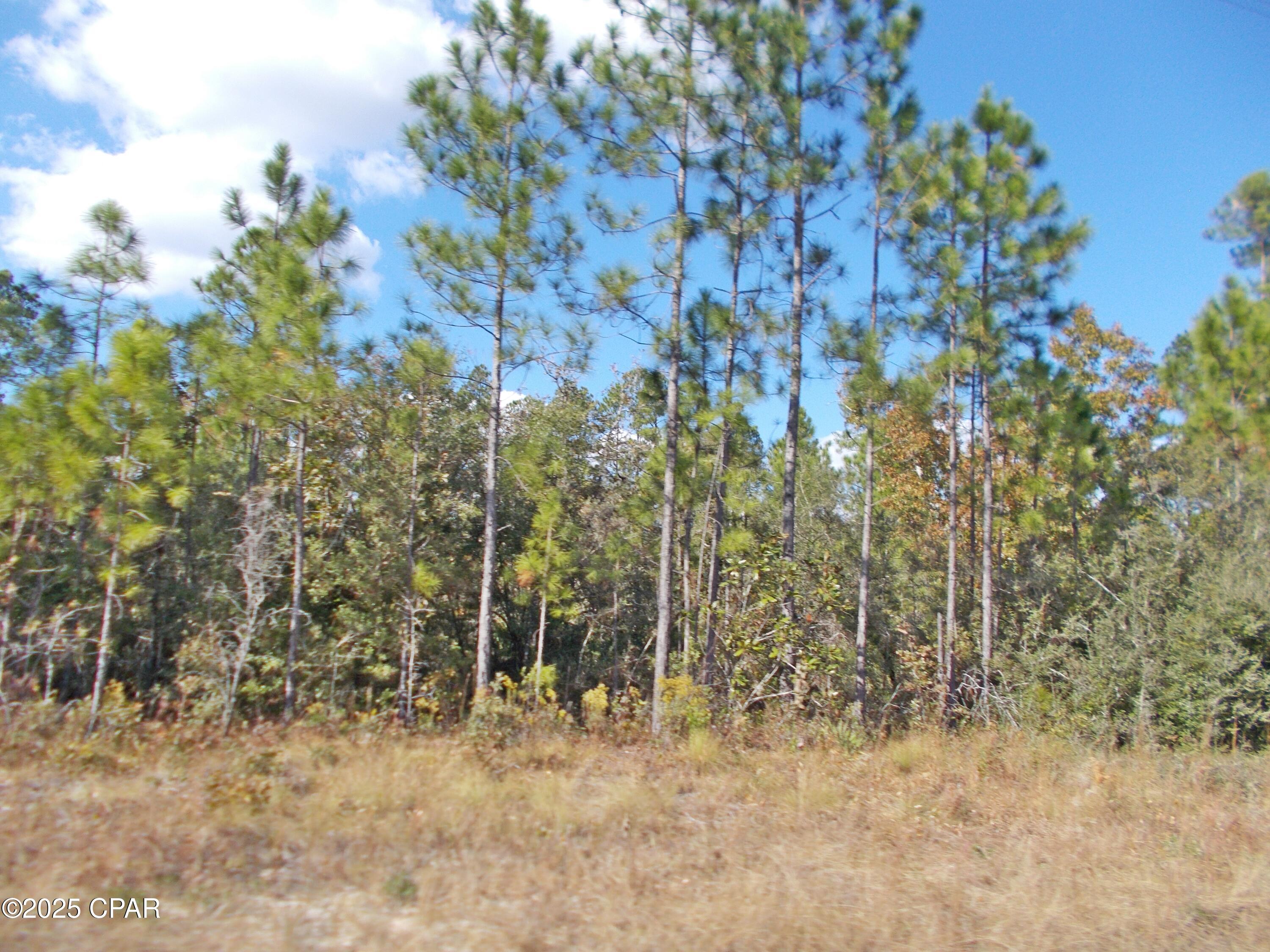 Image 2 For 00 Nw Cr 167