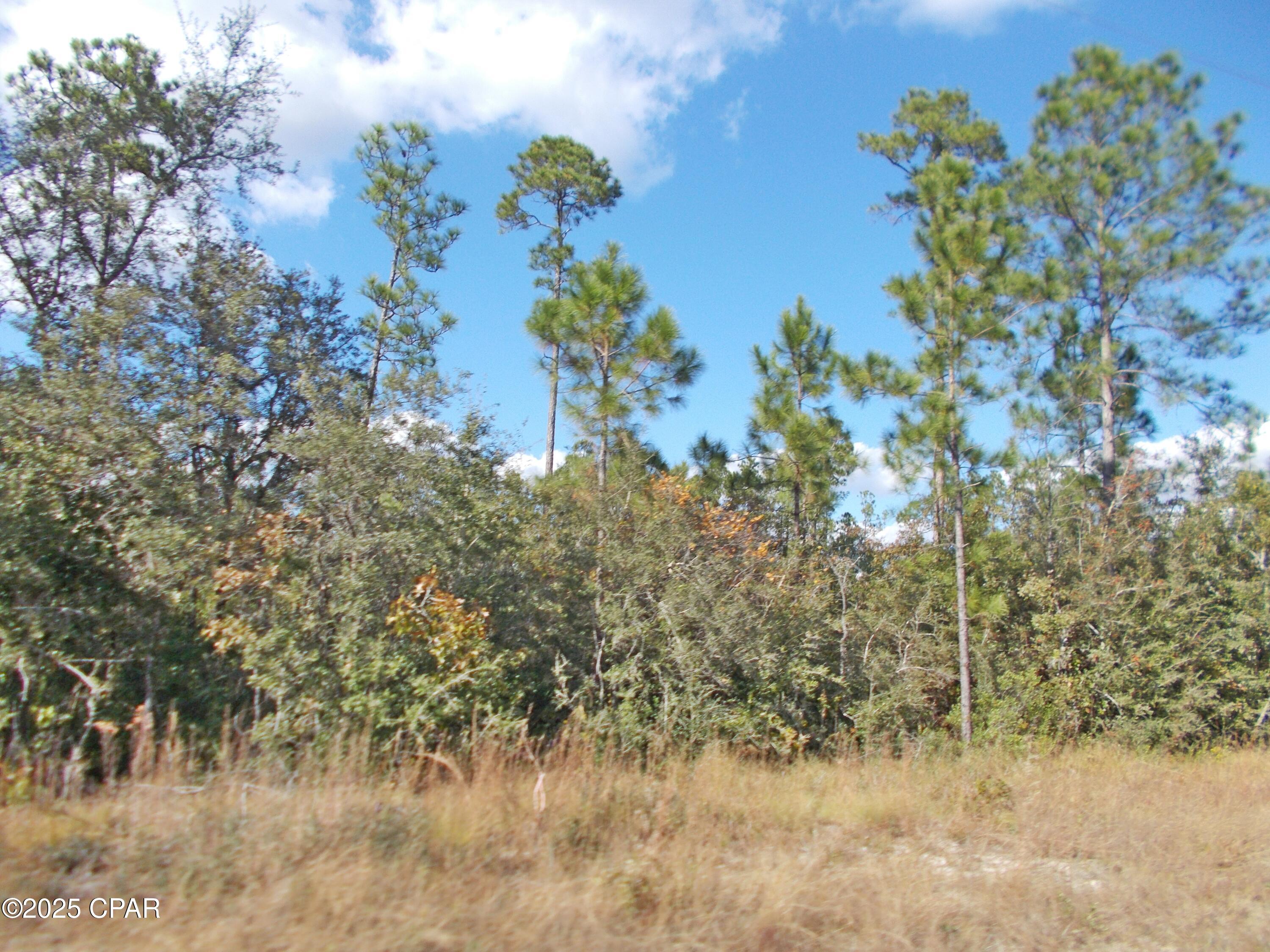 Image 3 For 00 Nw Cr 167