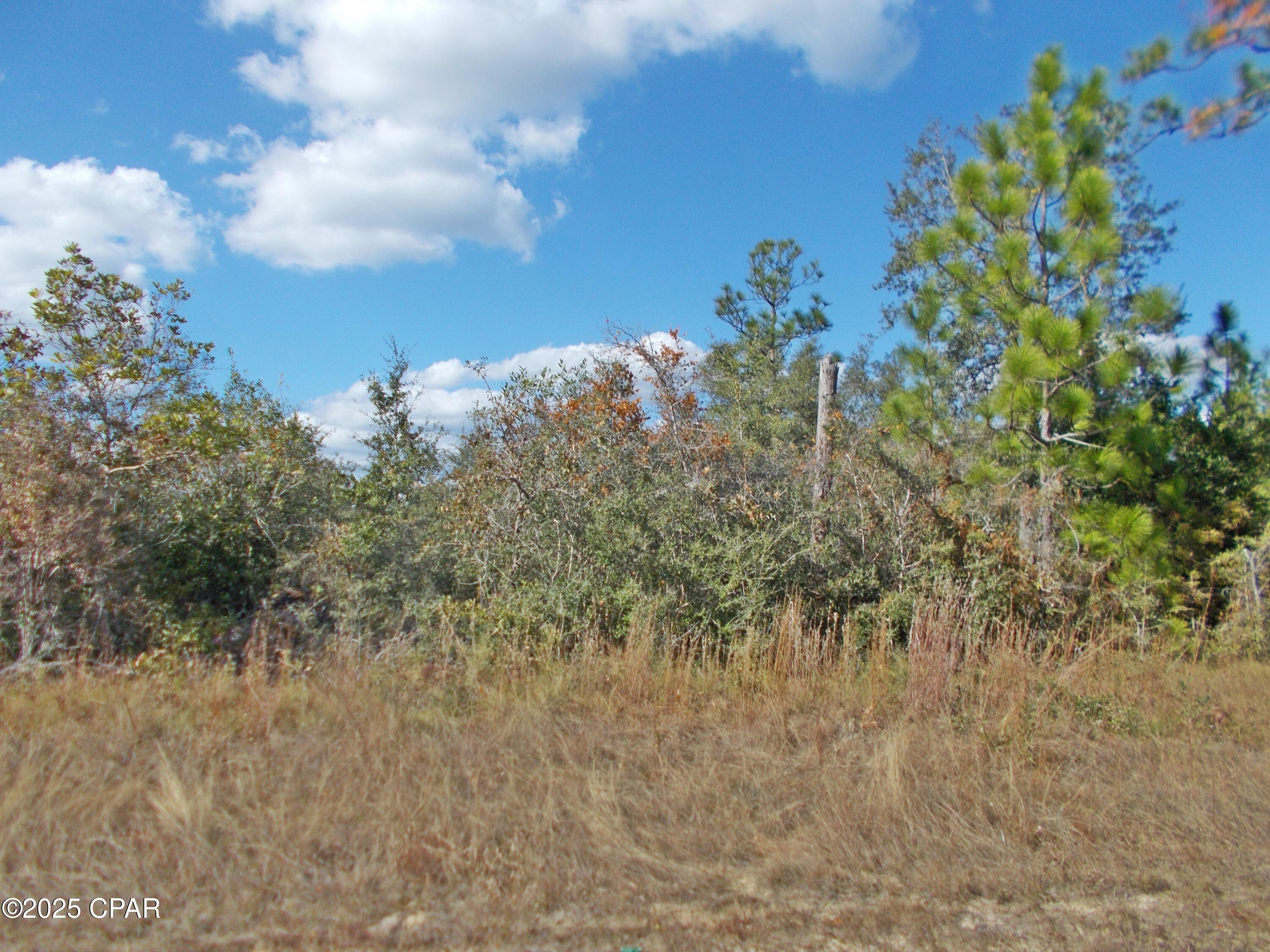 Image 4 For 00 Nw Cr 167