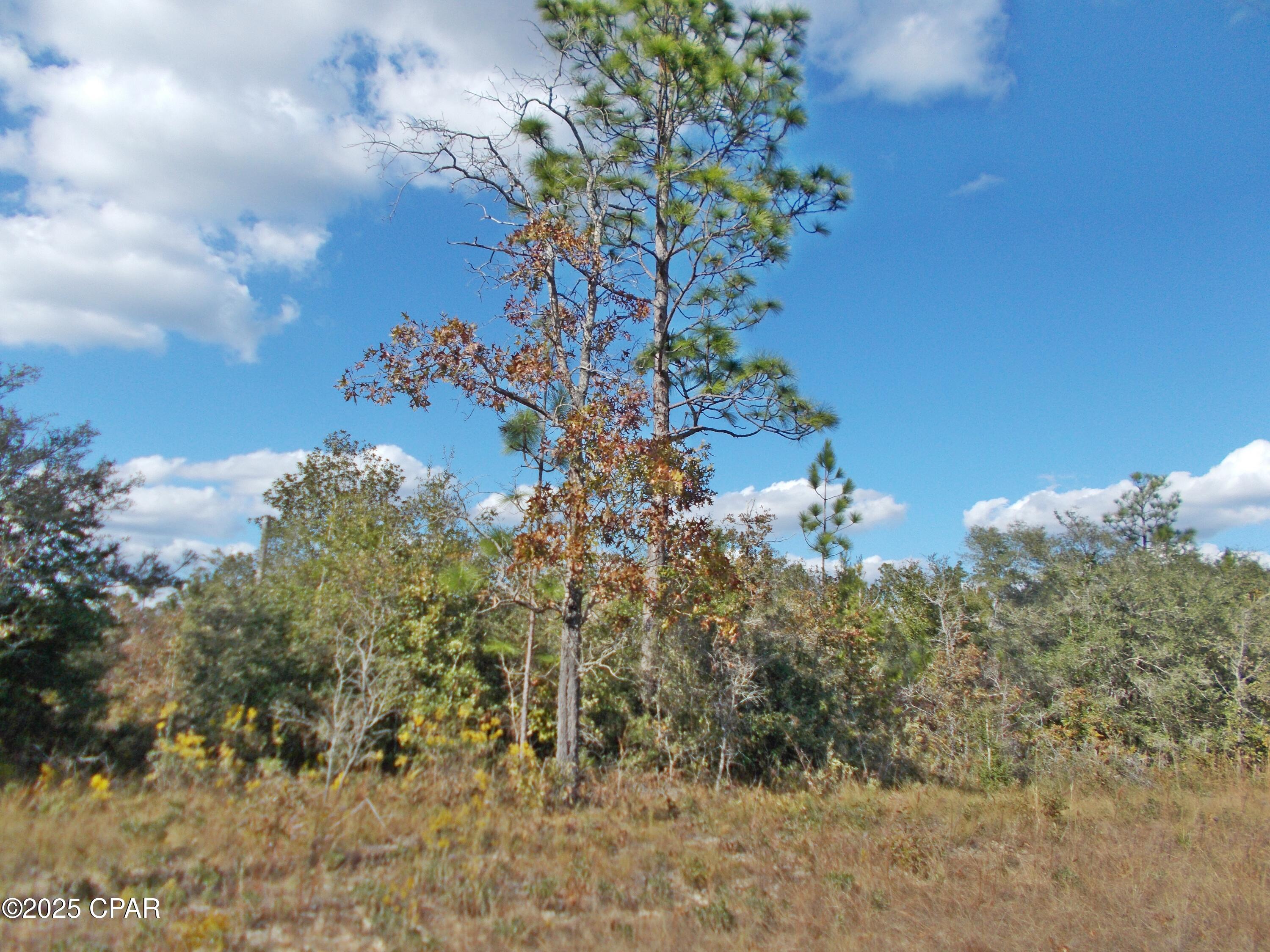 Image 6 For 00 Nw Cr 167