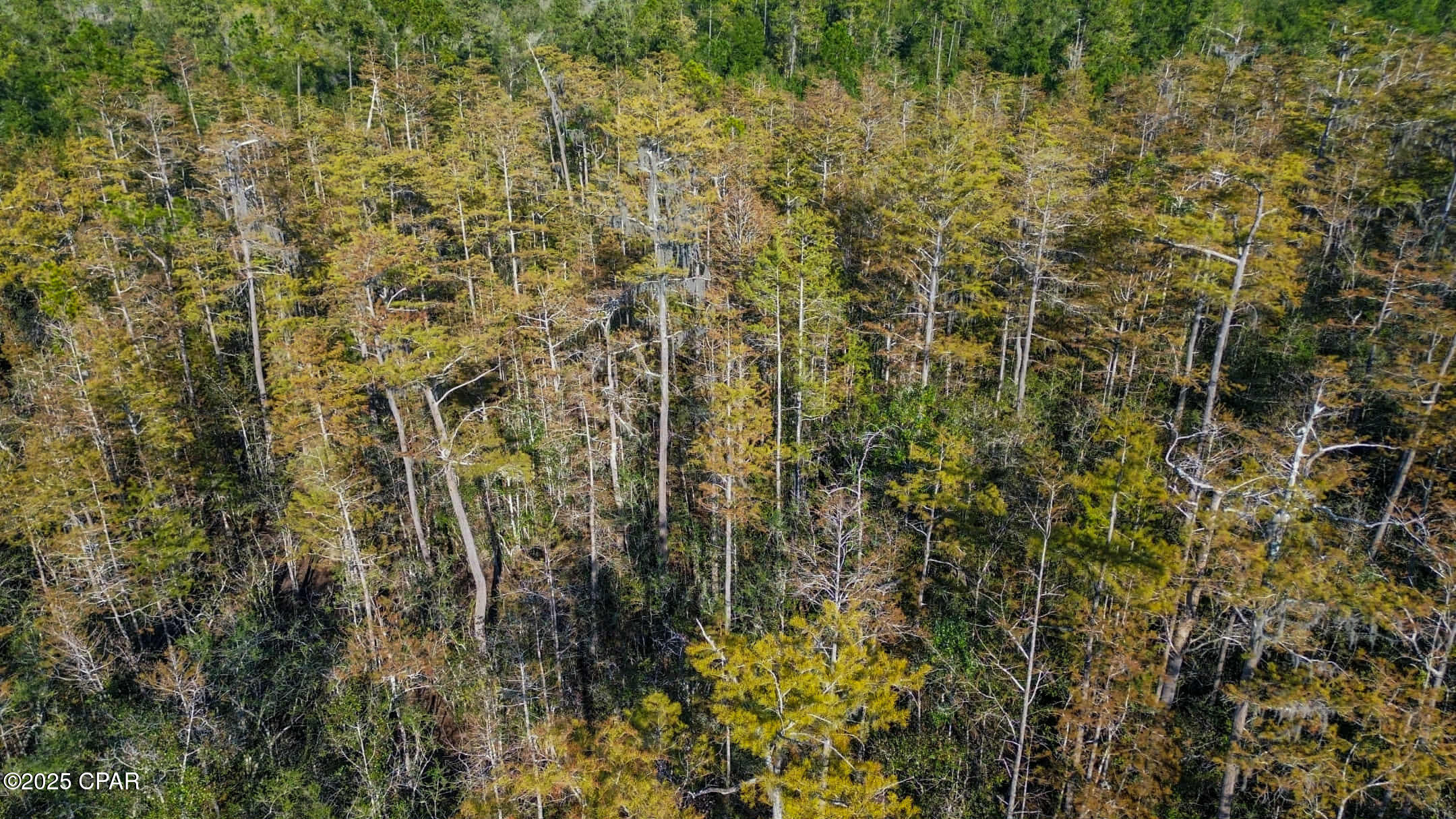 Image 5 For Tbd Broadview Avenue